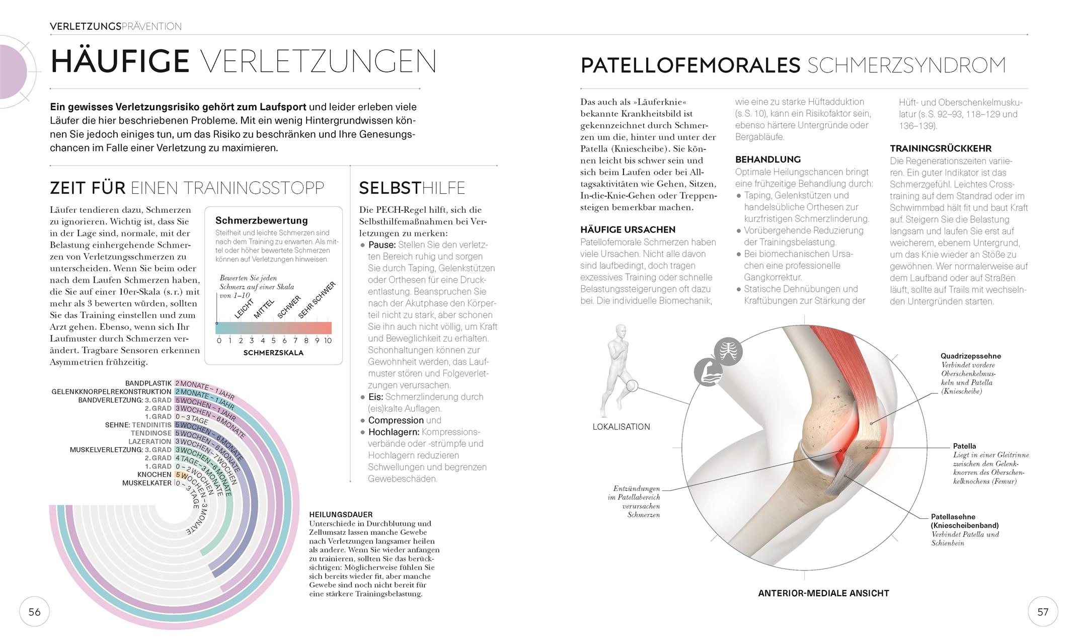 Beispielinhalt (Bild) Lauftraining - Die Anatomie verstehen