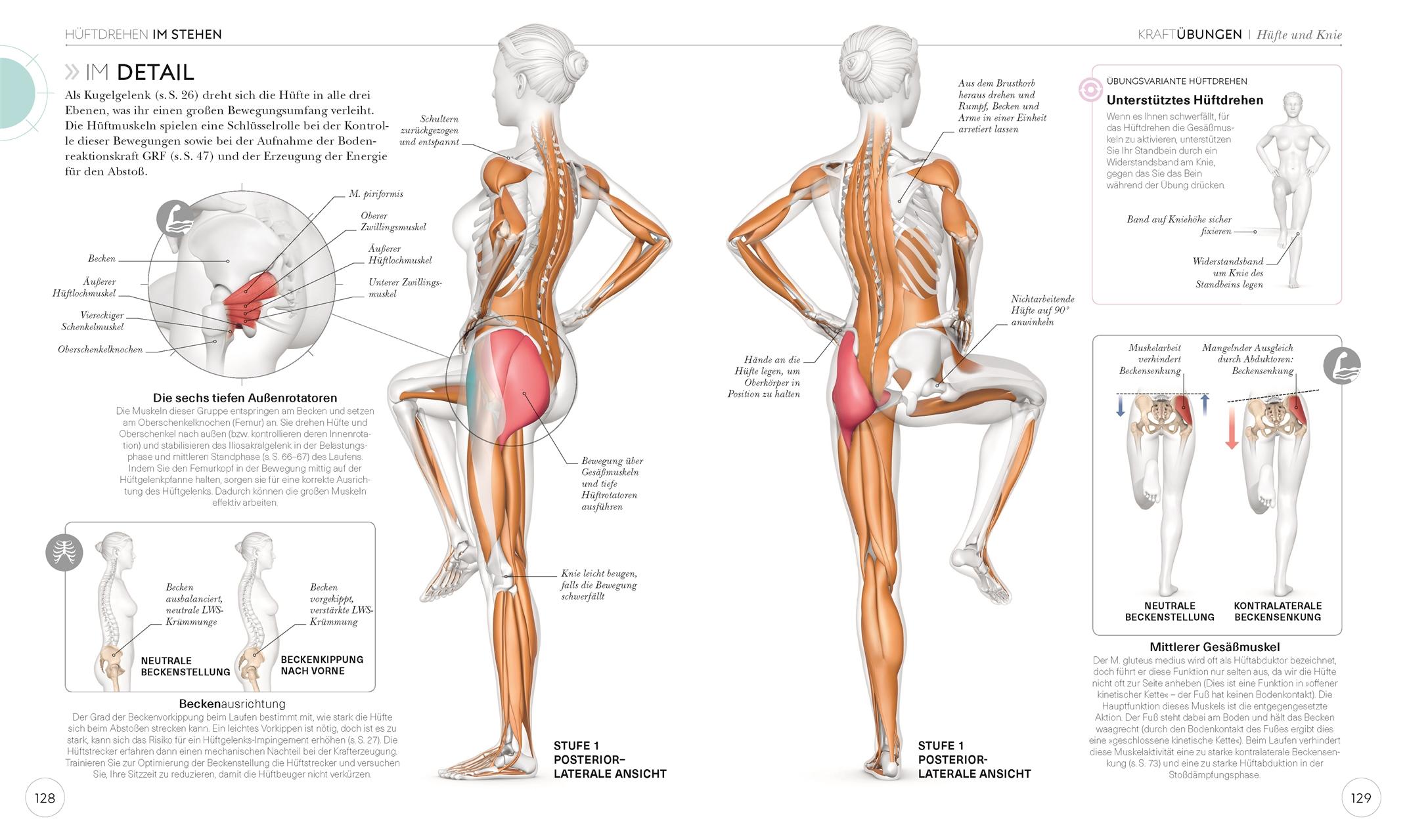 Beispielinhalt (Bild) Lauftraining - Die Anatomie verstehen