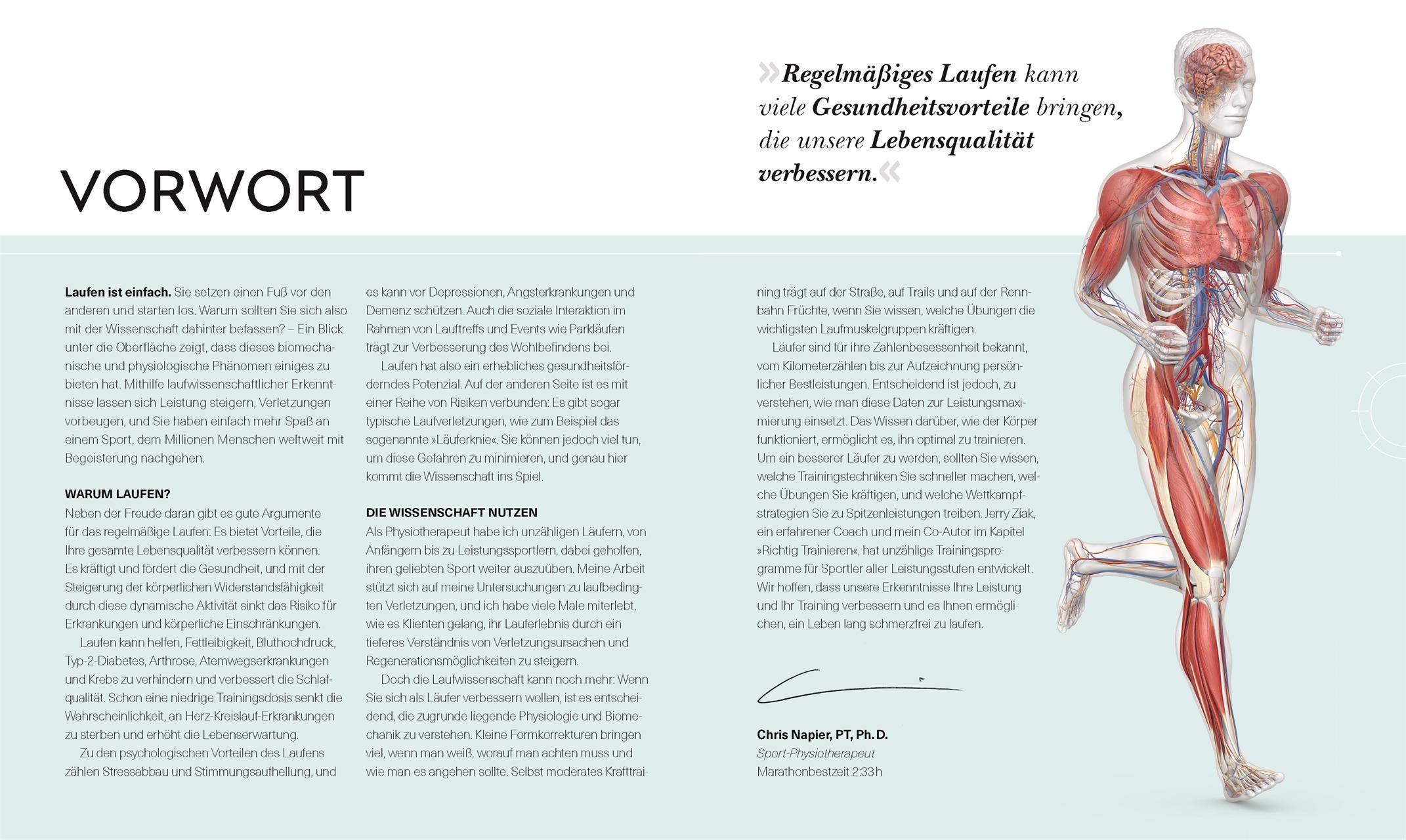 Beispielinhalt (Bild) Lauftraining - Die Anatomie verstehen