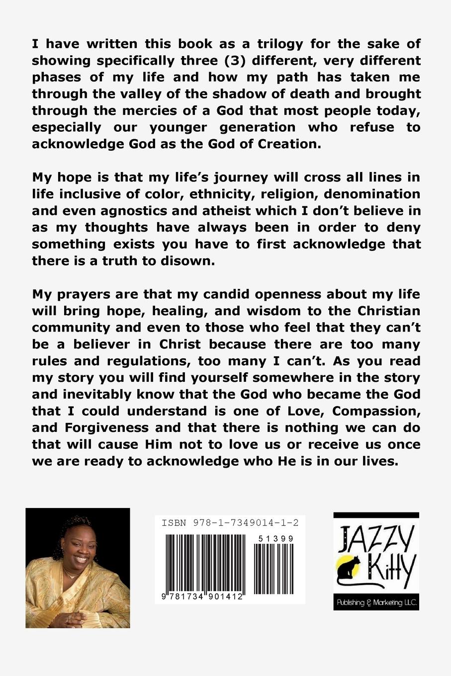 Rückseitencover Hidden in Plain View - The Genesis