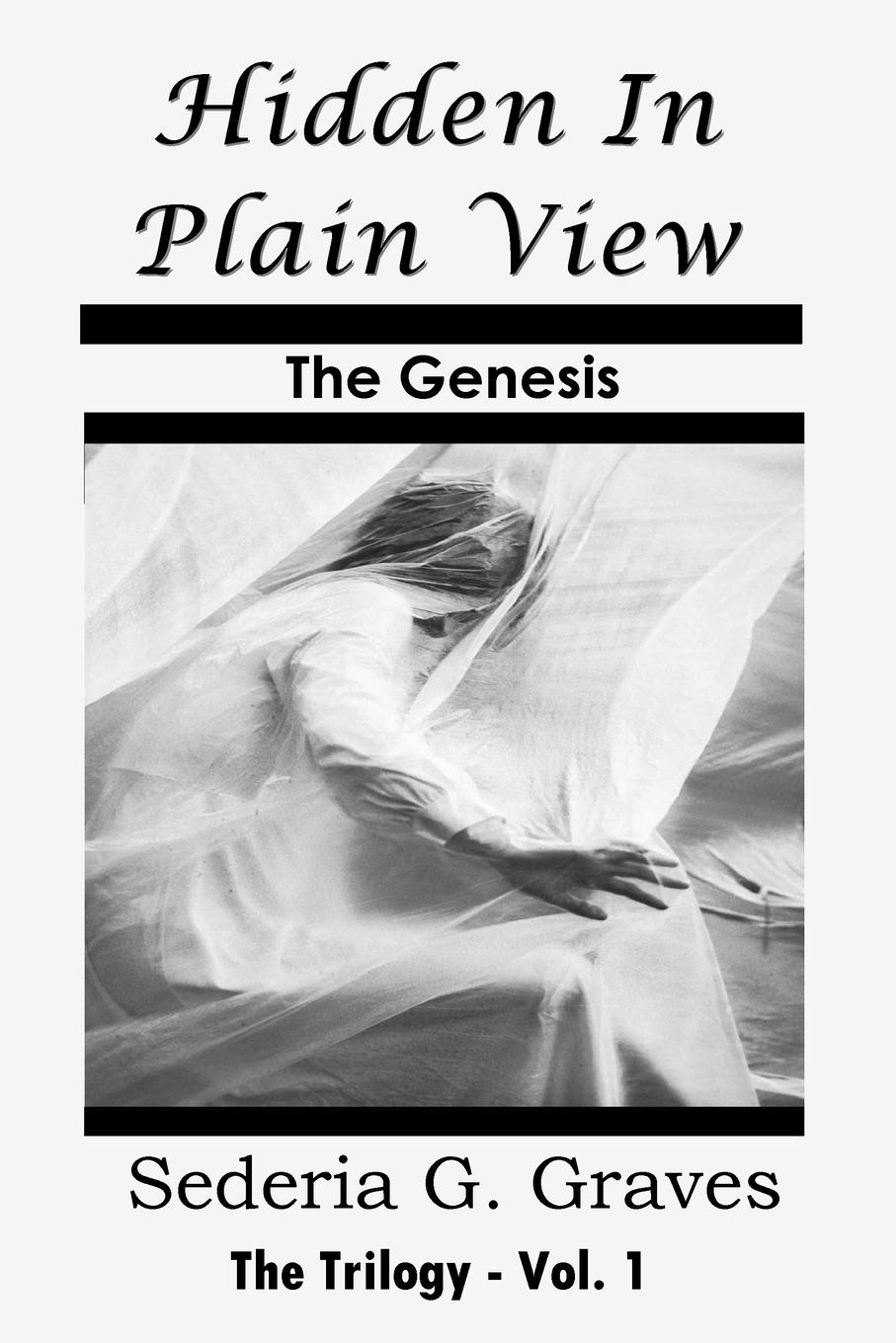Vorderes Coverbild Hidden in Plain View - The Genesis