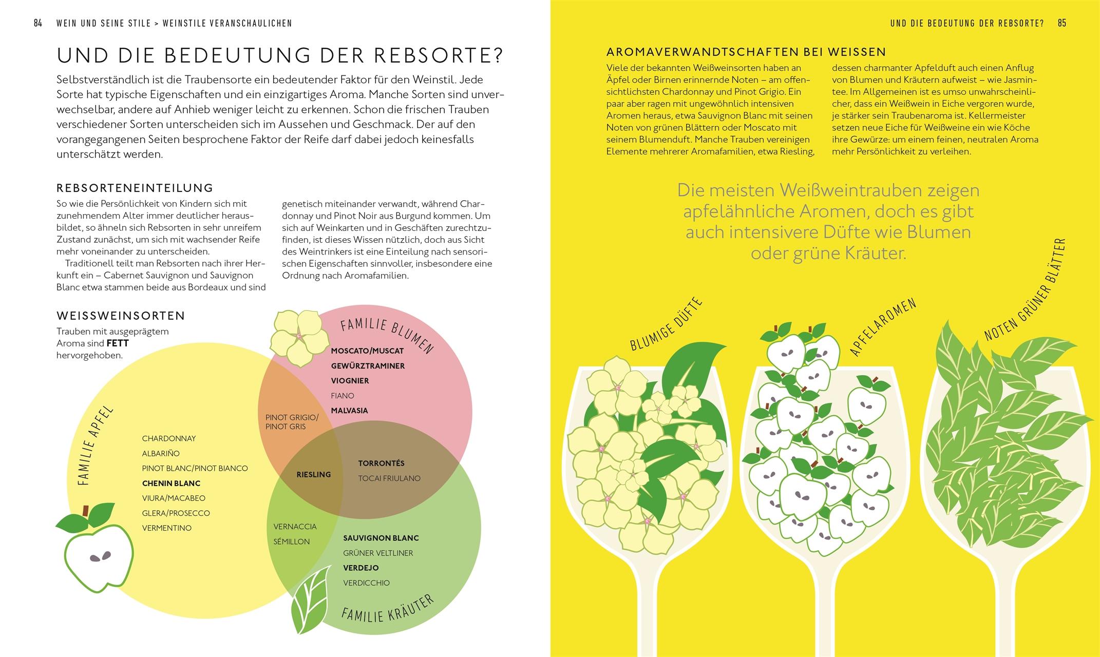 Beispielinhalt (Bild) Workshop Wein