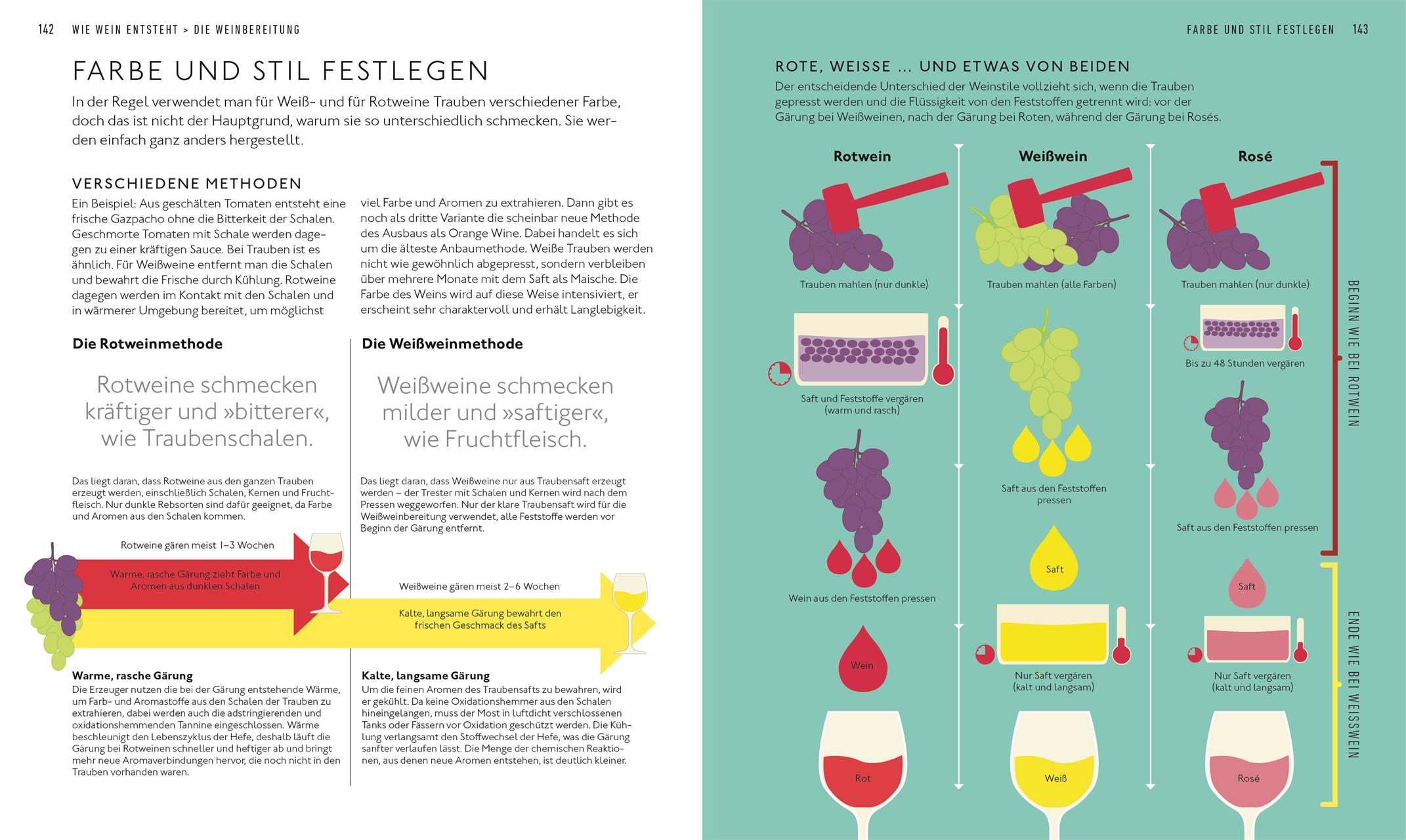 Beispielinhalt (Bild) Workshop Wein