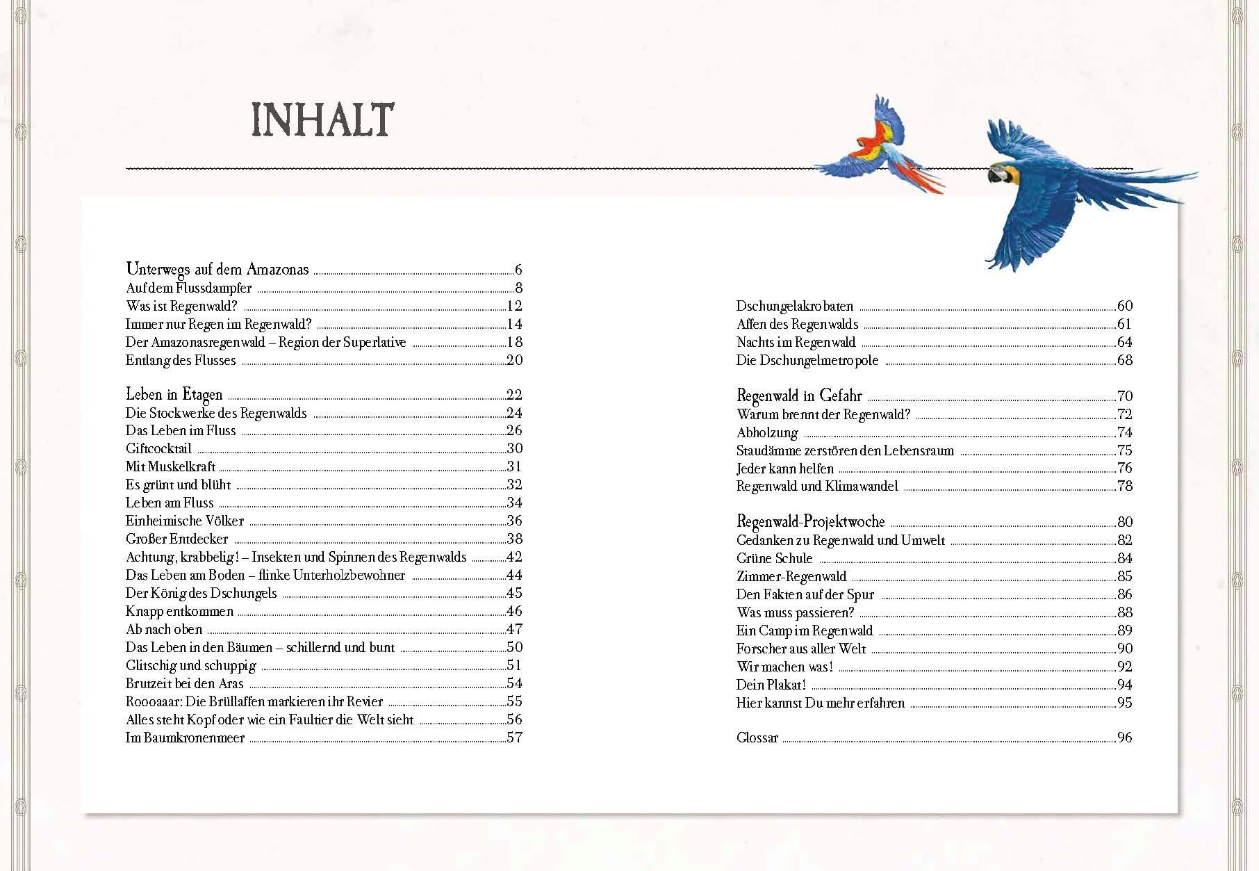 Beispielinhalt (Bild) Verborgene Welt des Regenwaldes
