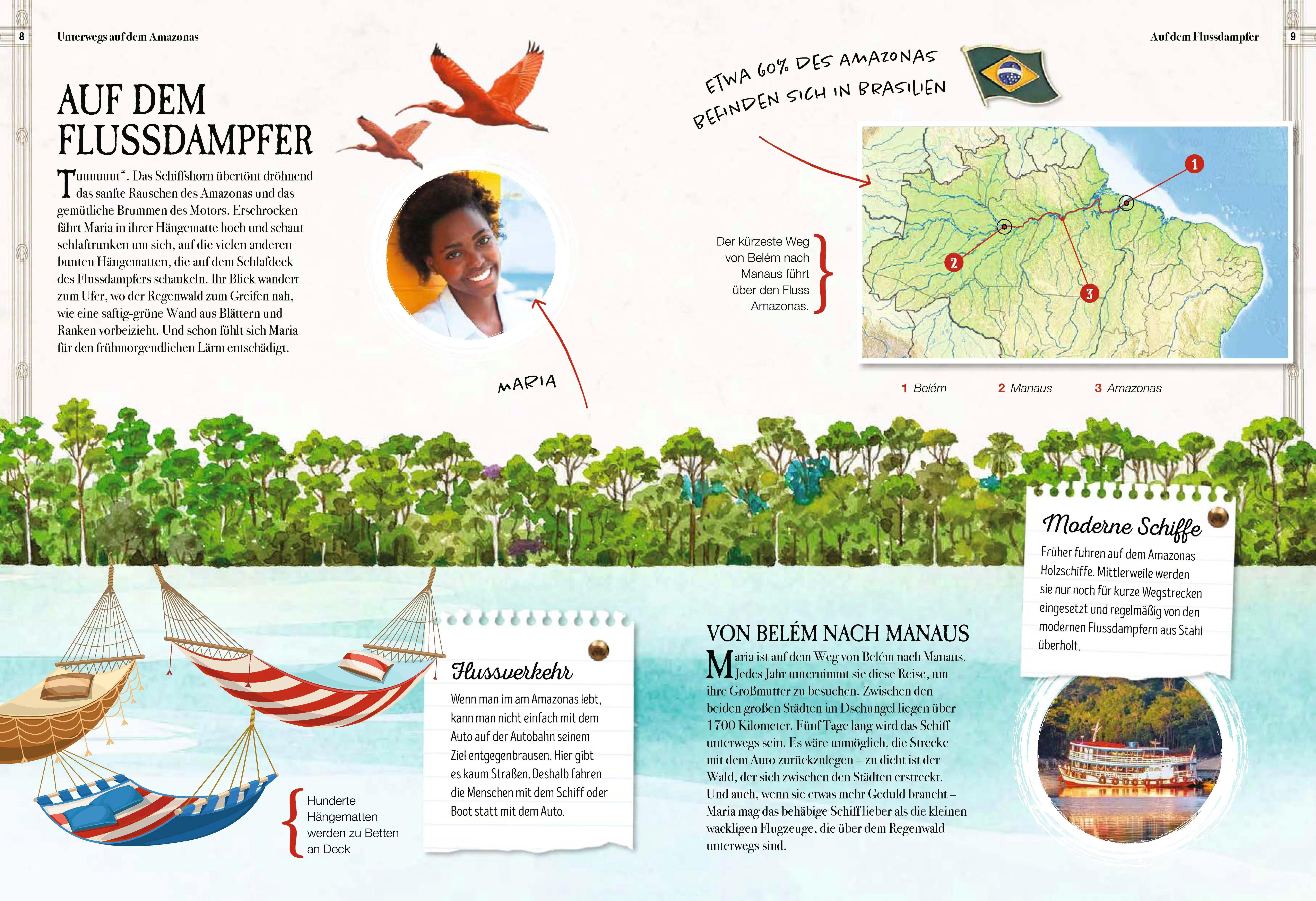 Beispielinhalt (Bild) Verborgene Welt des Regenwaldes