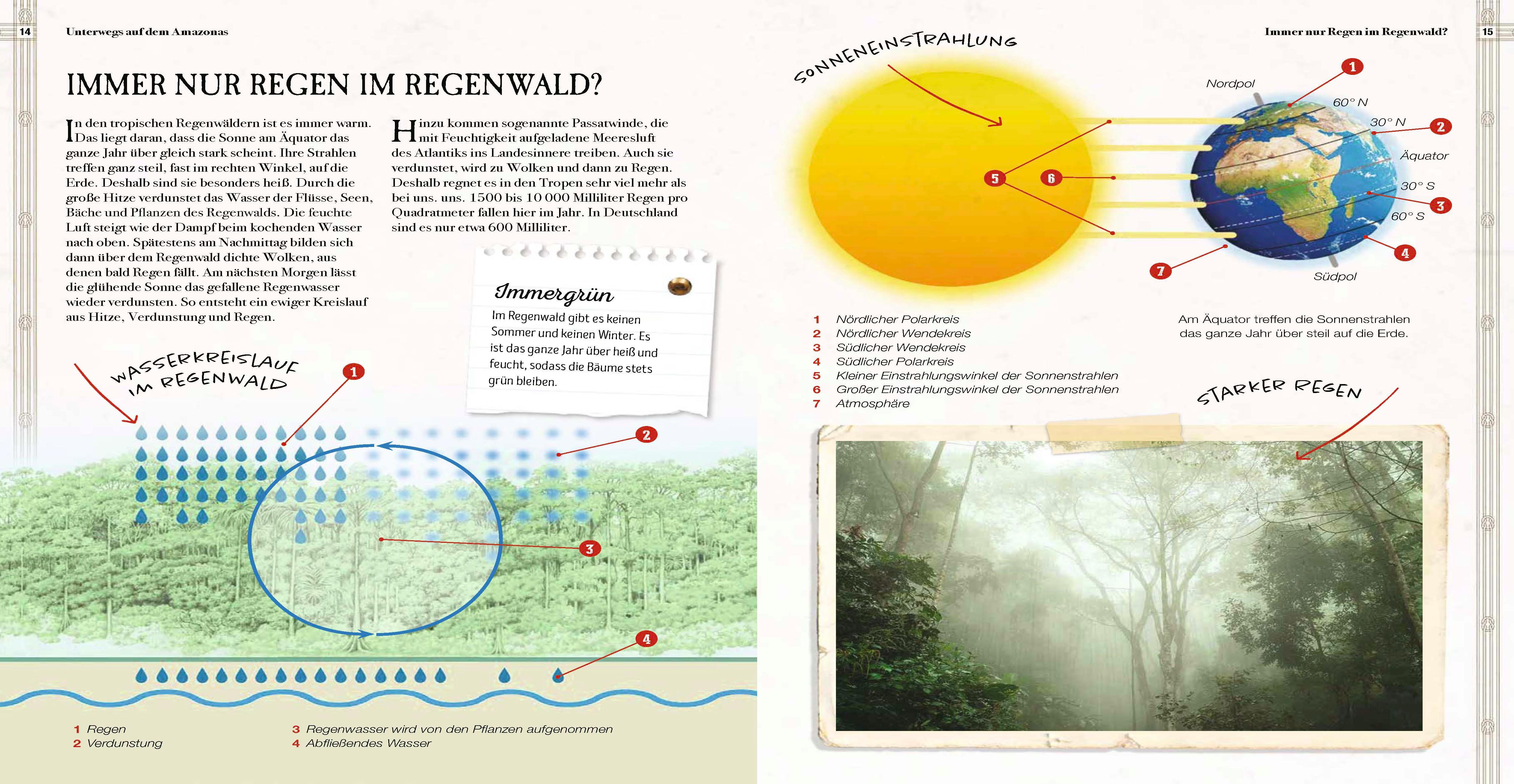 Beispielinhalt (Bild) Verborgene Welt des Regenwaldes