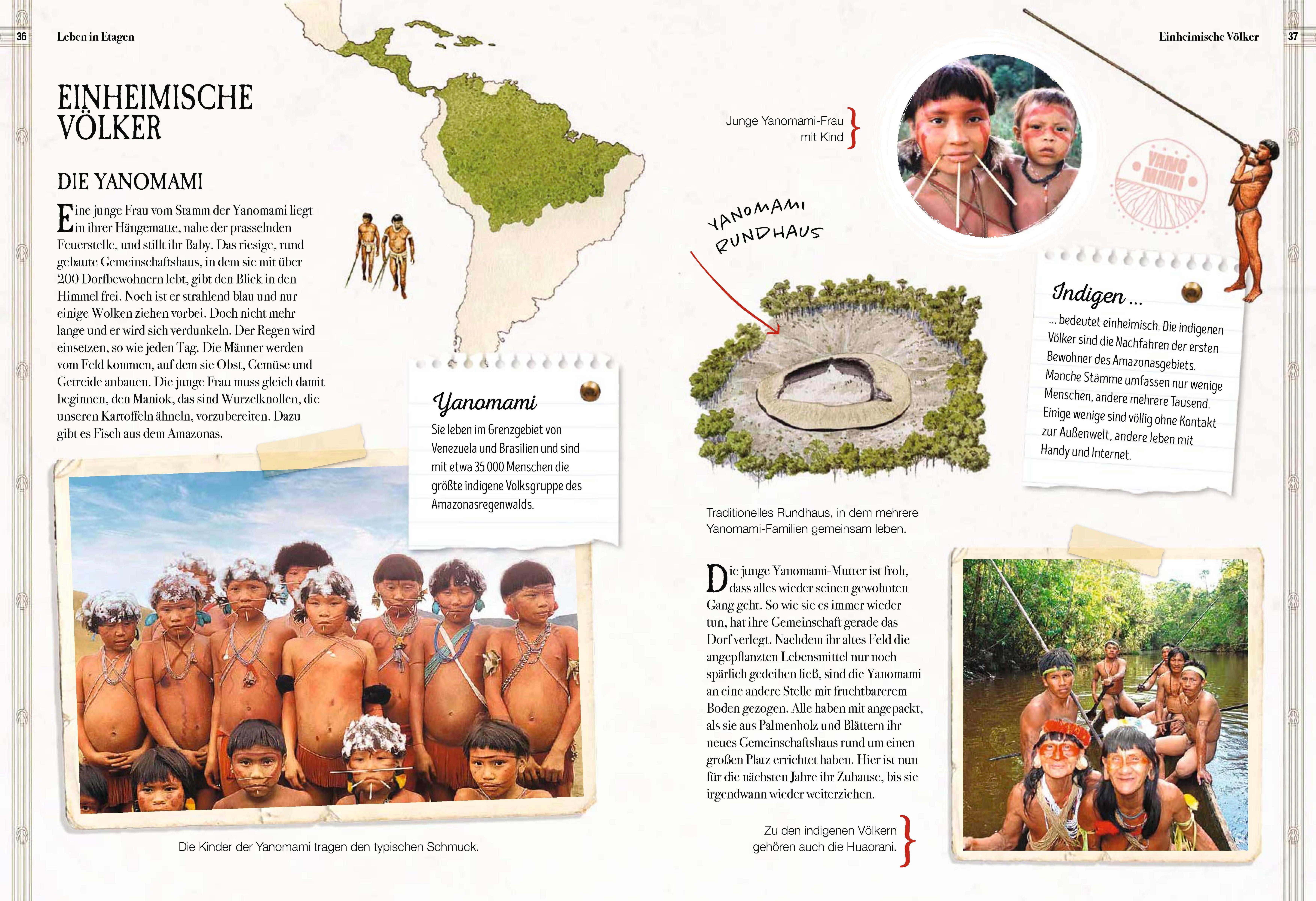 Beispielinhalt (Bild) Verborgene Welt des Regenwaldes