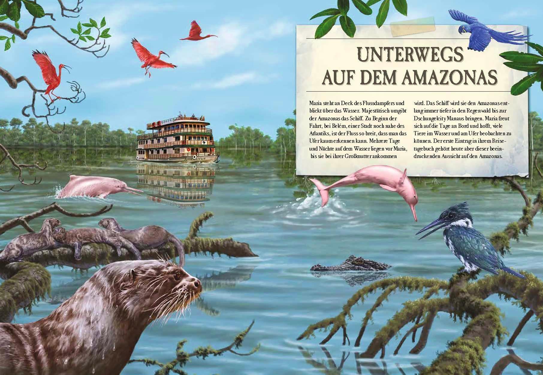 Beispielinhalt (Bild) Verborgene Welt des Regenwaldes