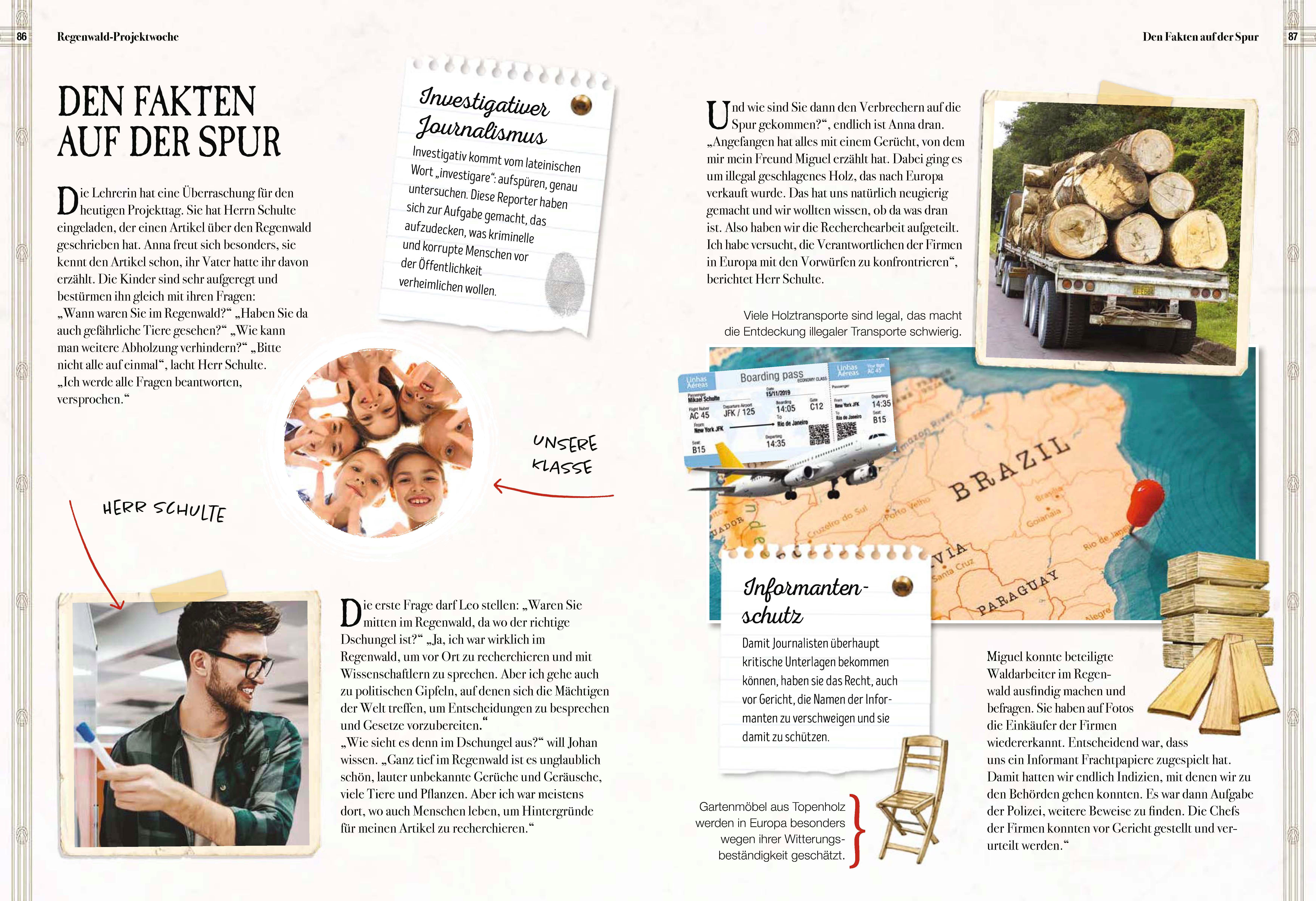 Beispielinhalt (Bild) Verborgene Welt des Regenwaldes