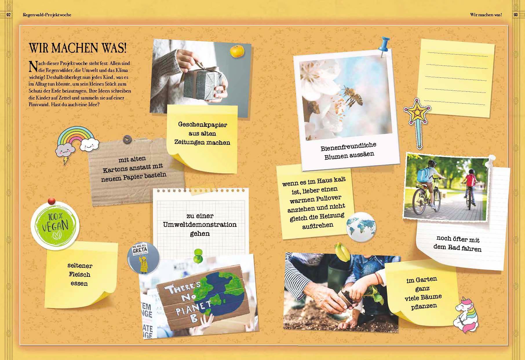 Beispielinhalt (Bild) Verborgene Welt des Regenwaldes