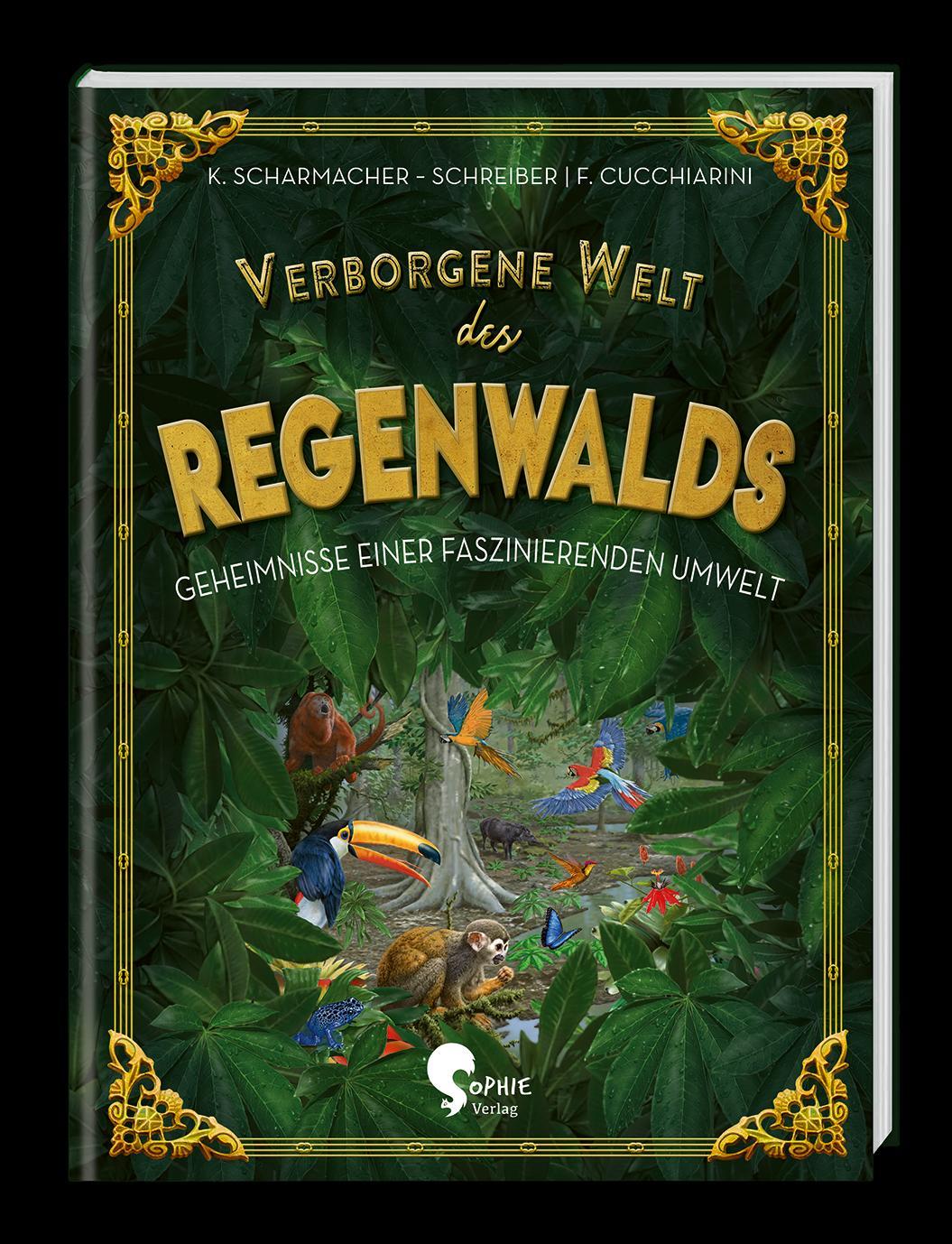Vorderes Coverbild Verborgene Welt des Regenwaldes