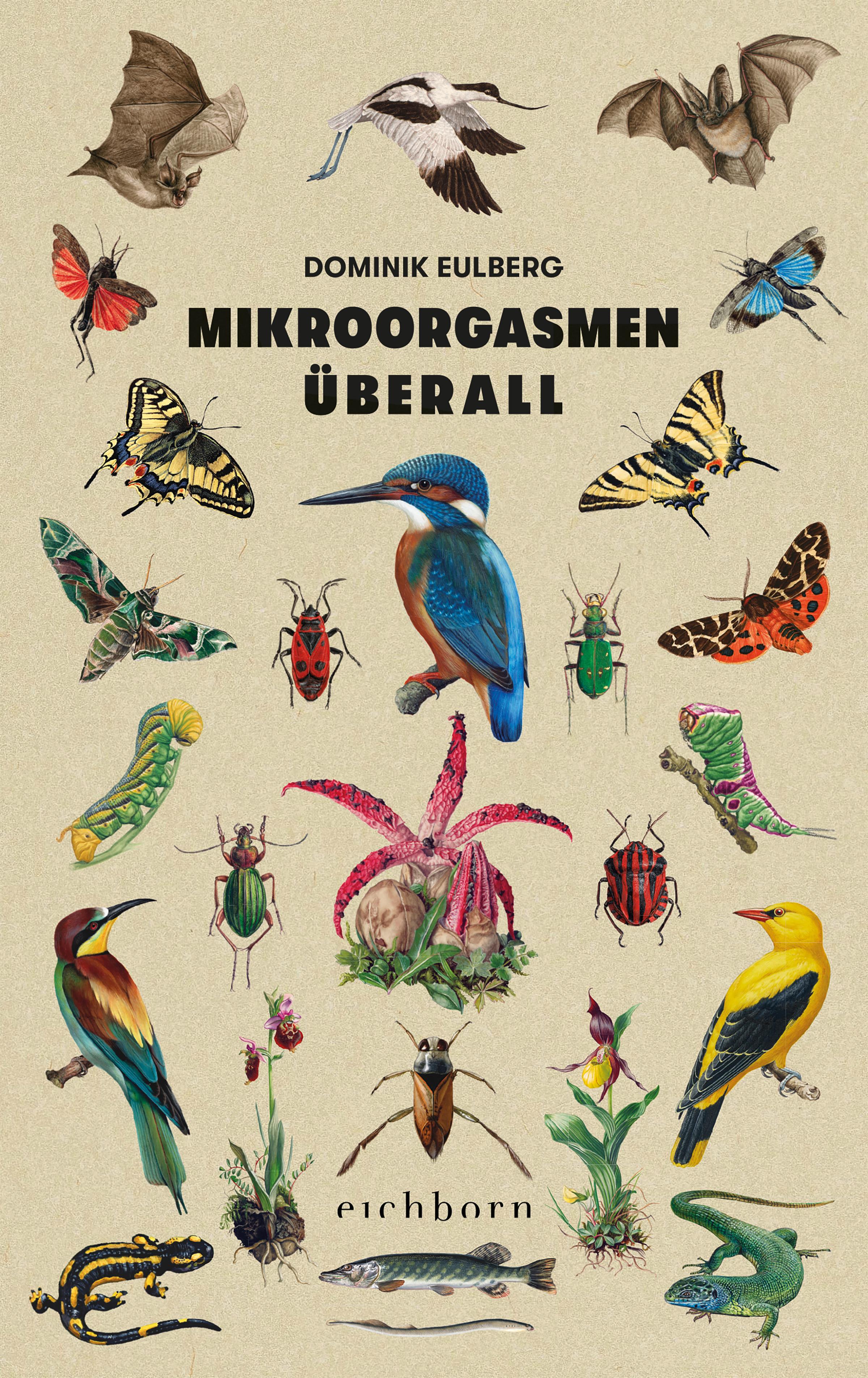 Vorderes Coverbild Mikroorgasmen überall