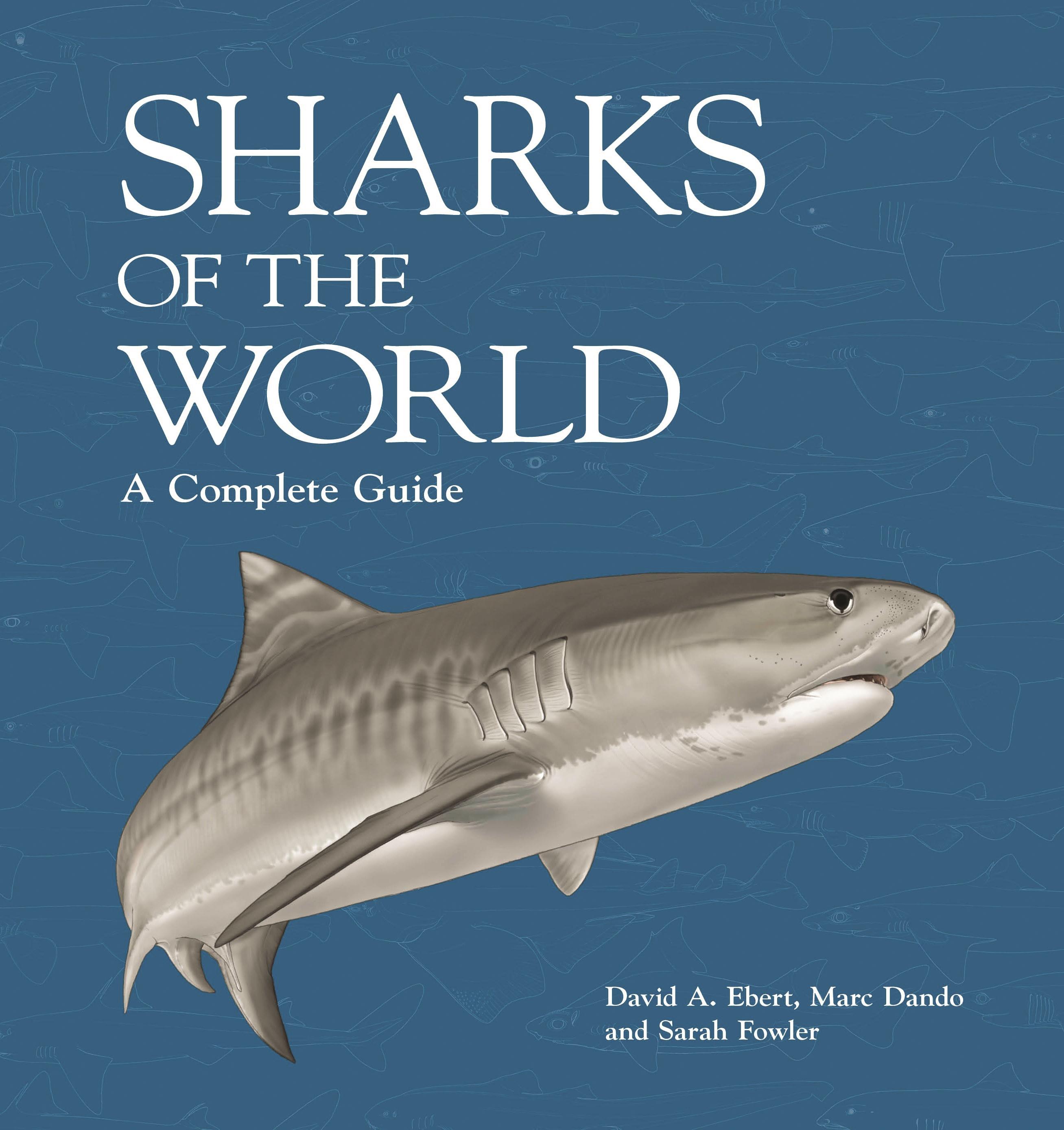 Vorderes Coverbild Sharks of the World