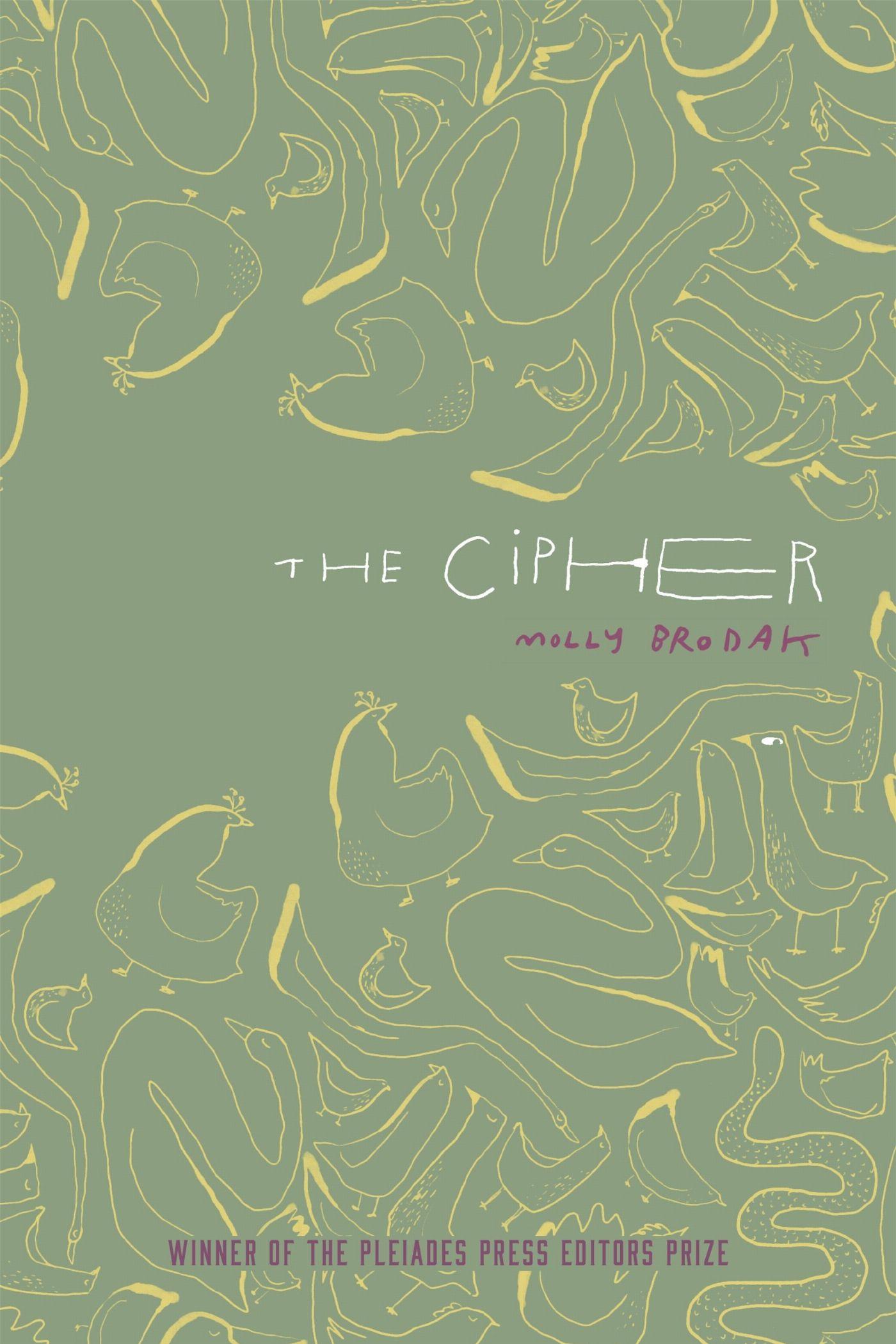Vorderes Coverbild The Cipher