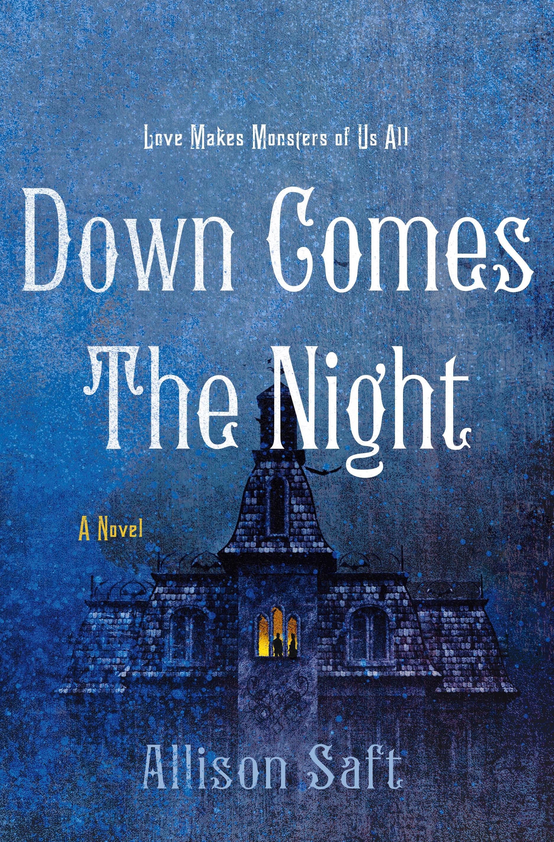 Vorderes Coverbild Down Comes the Night
