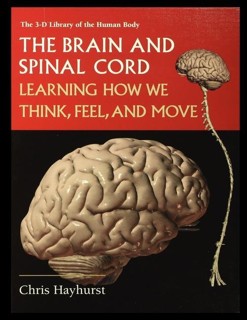Vorderes Coverbild The Brain and Spinal Cord: Learning How We Think, Feel and Move