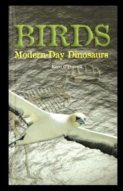 Vorderes Coverbild Birds