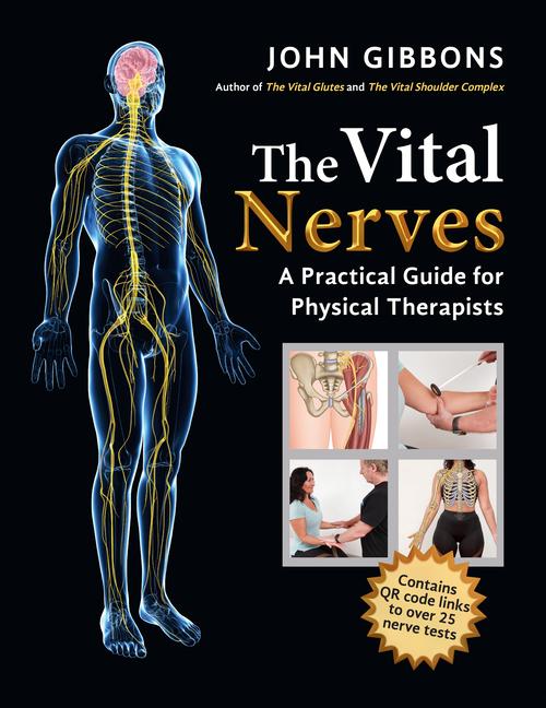 Vorderes Coverbild The Vital Nerves