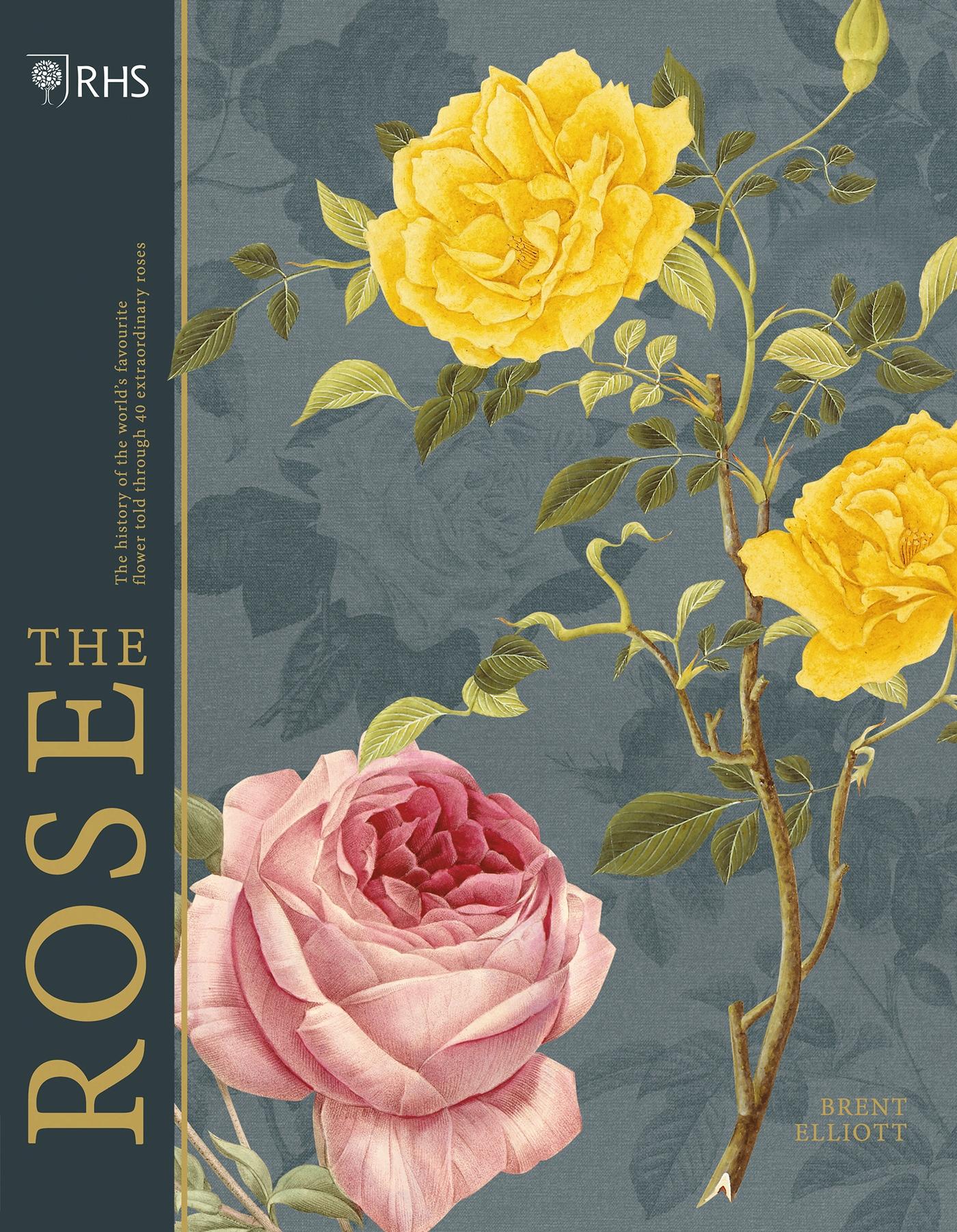 Vorderes Coverbild Rhs the Rose