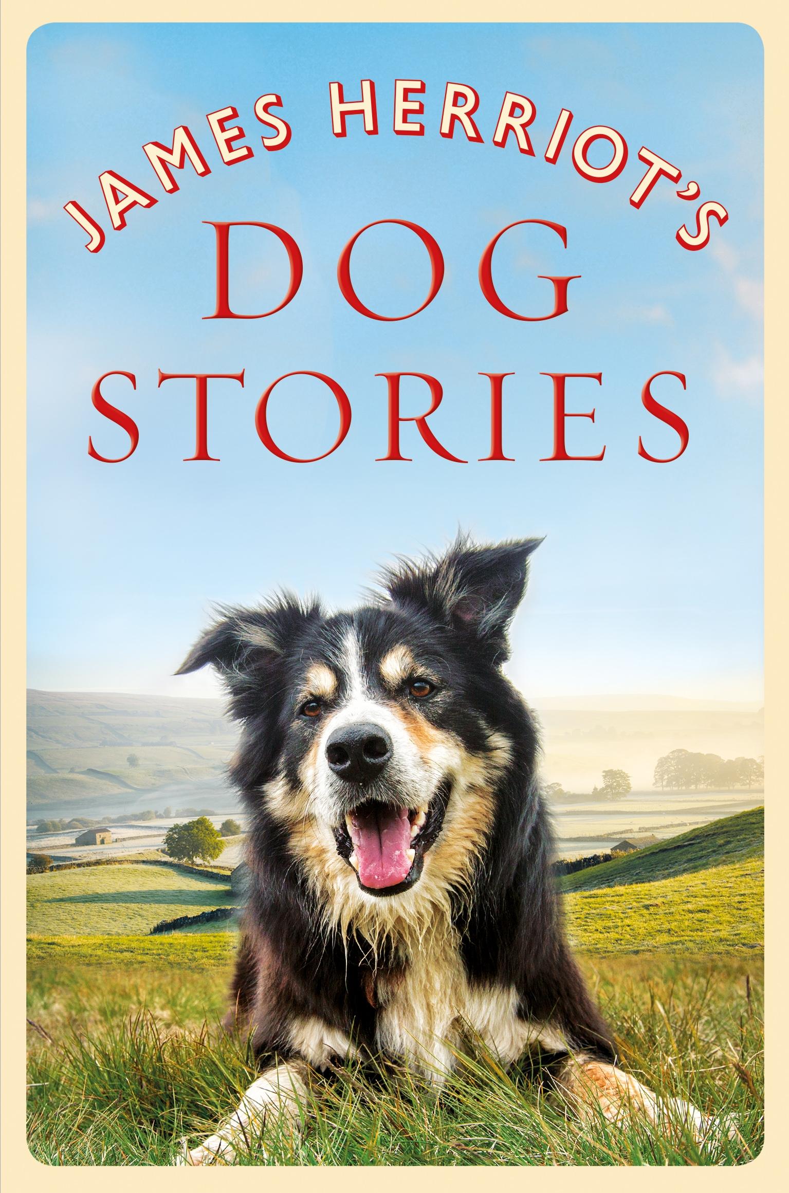 Vorderes Coverbild James Herriot's Dog Stories