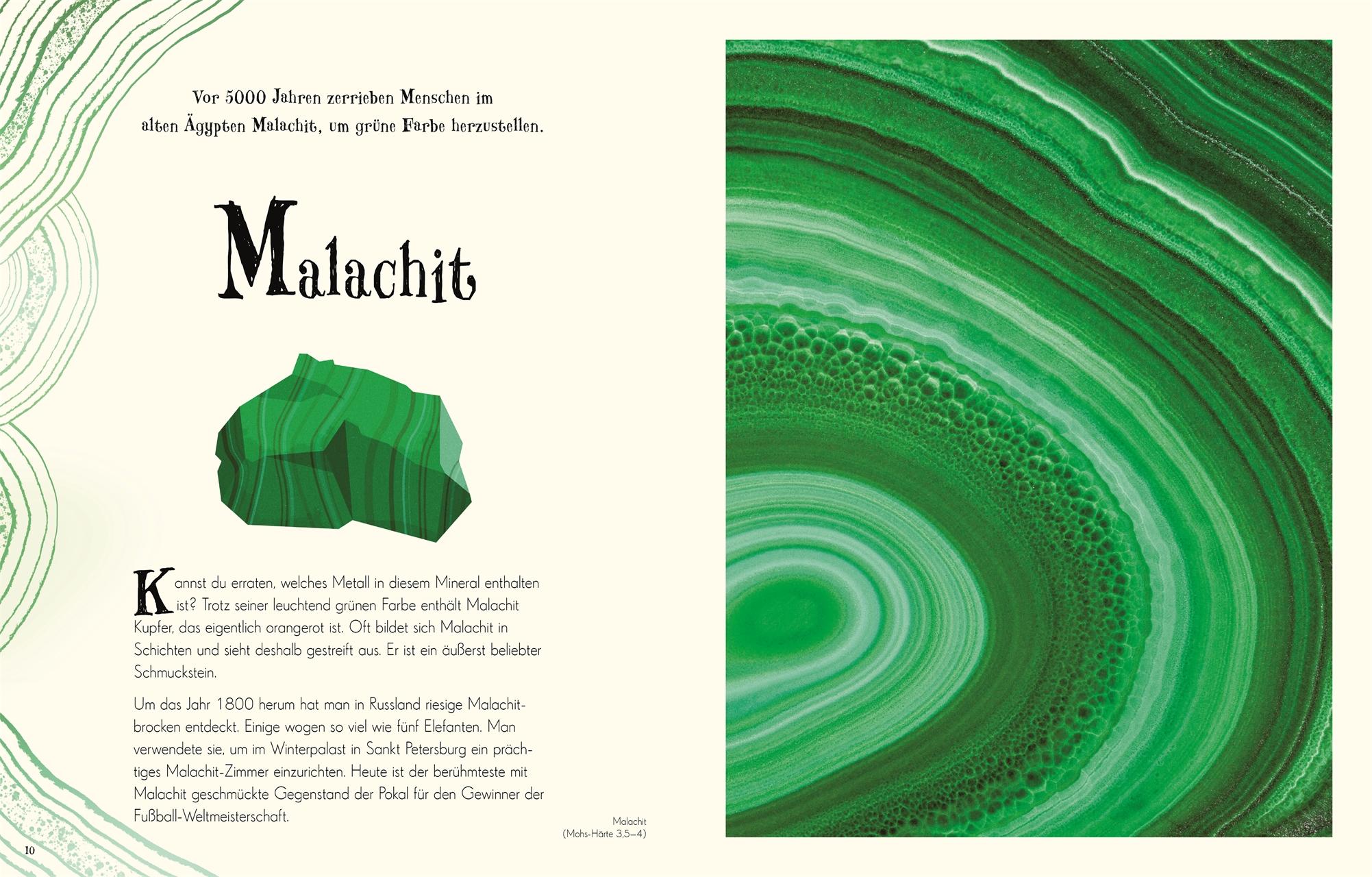 Beispielinhalt (Bild) Wundervolle Welt der Natur