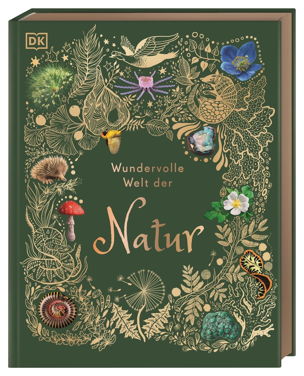 Vorderes Coverbild Wundervolle Welt der Natur