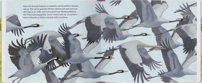 Beispielinhalt (Bild) Ein Jahr mit den Kranichen