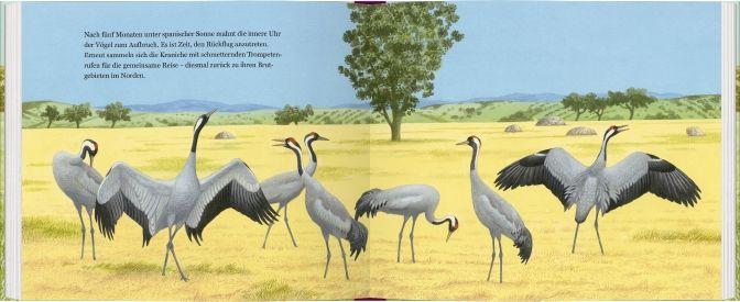 Beispielinhalt (Bild) Ein Jahr mit den Kranichen
