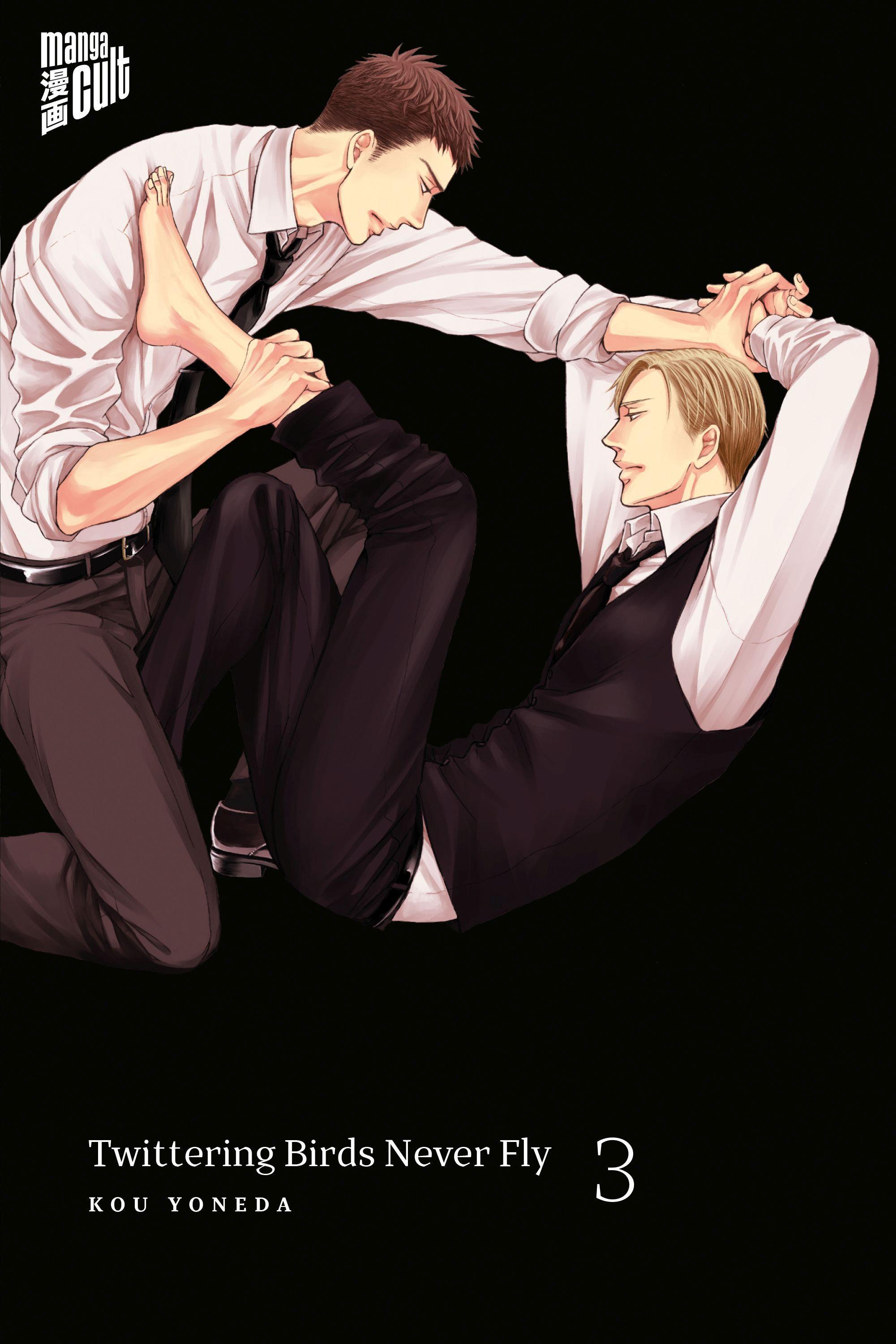 Vorderes Coverbild Twittering Birds Never Fly 3