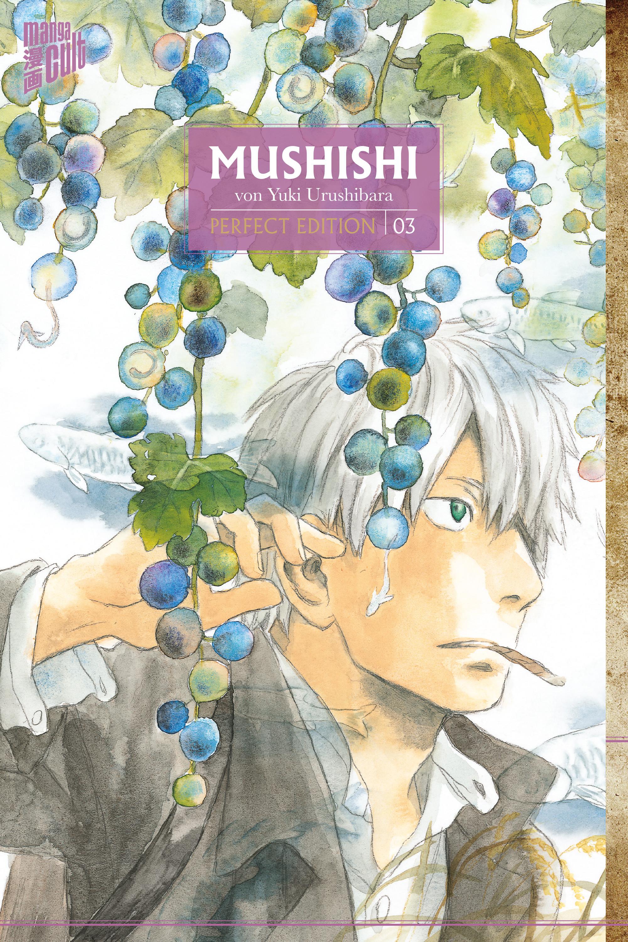 Vorderes Coverbild Mushishi - Perfect Edition 3