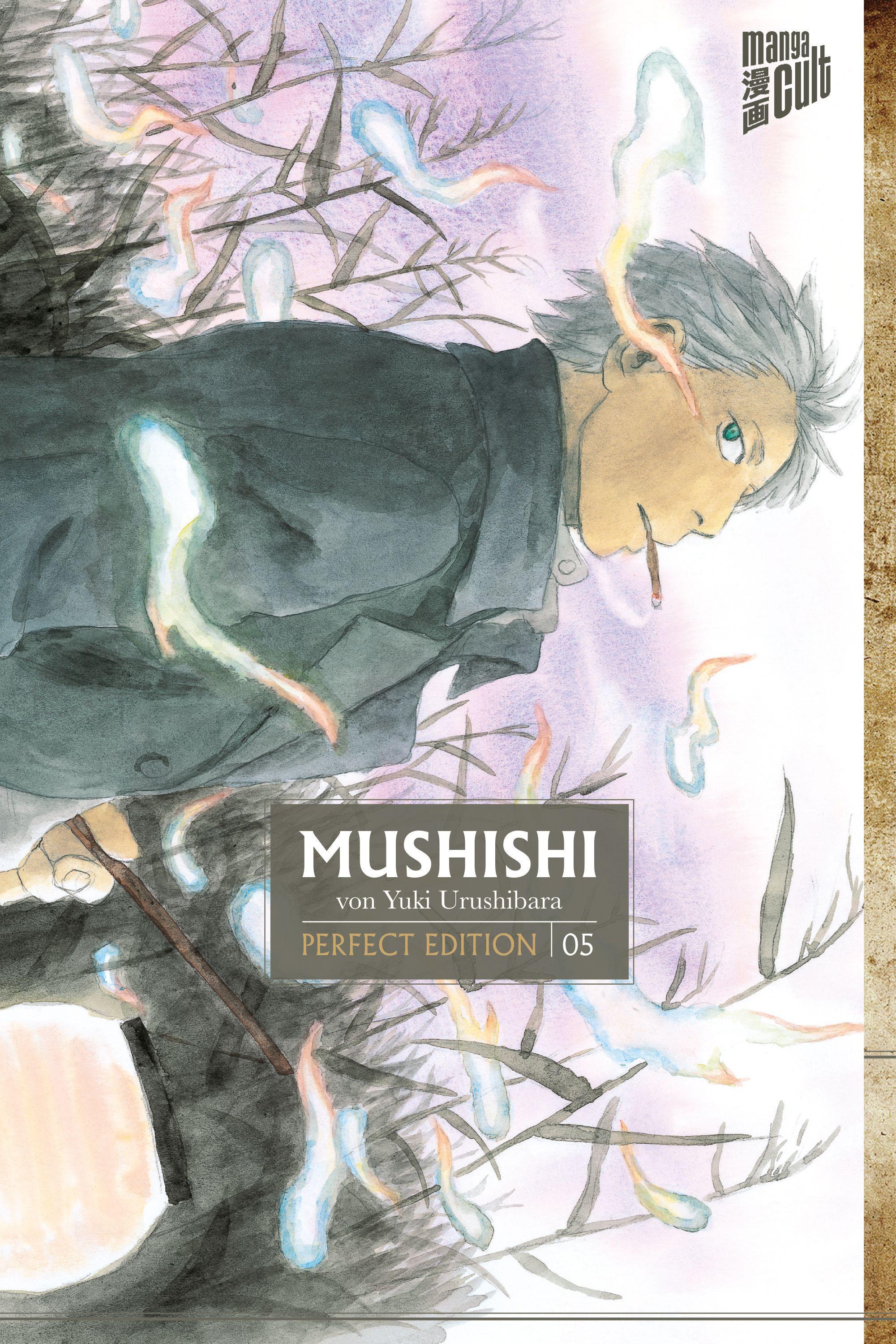 Vorderes Coverbild Mushishi - Perfect Edition 5