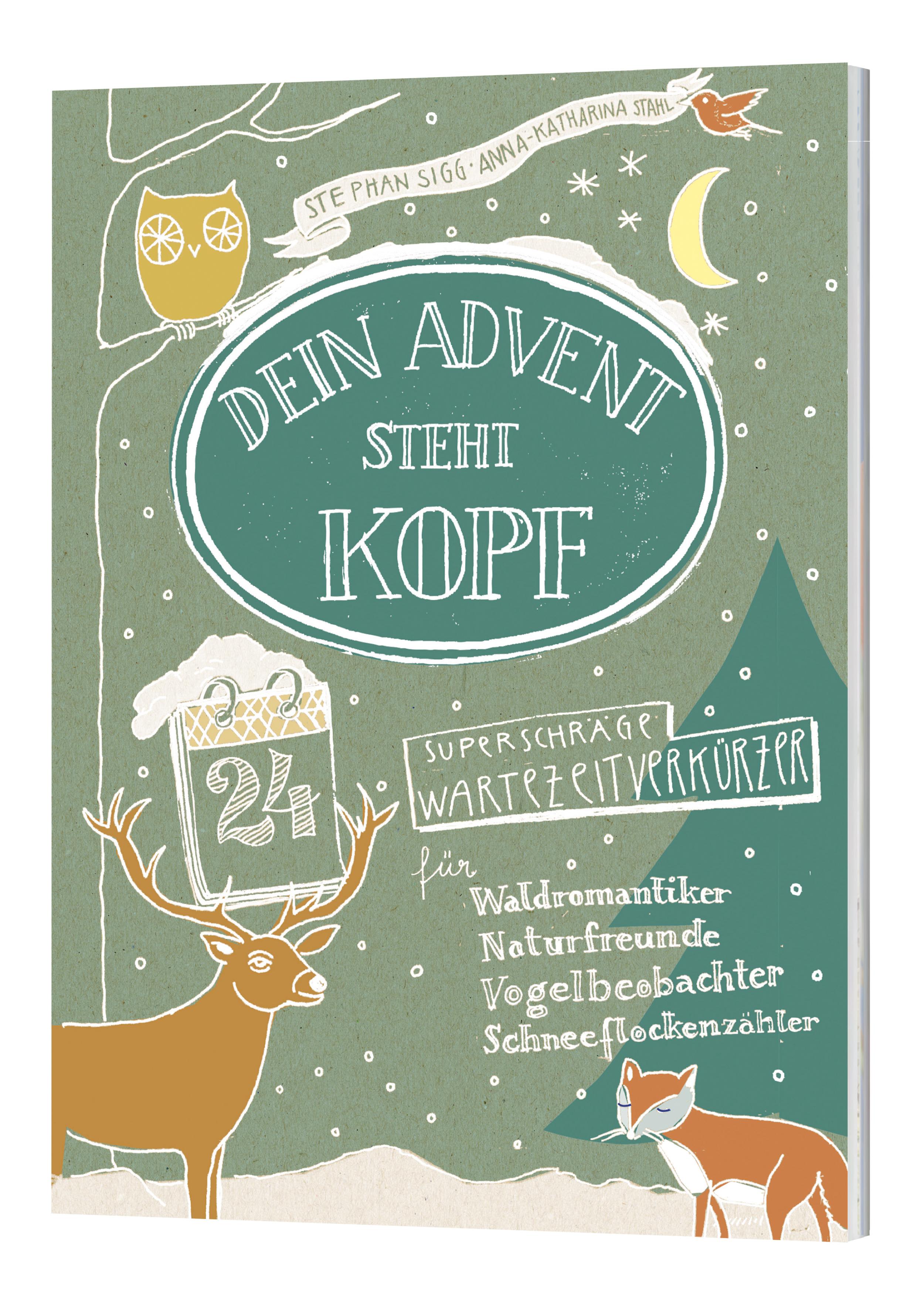 Vorderes Coverbild Dein Advent steht Kopf 4