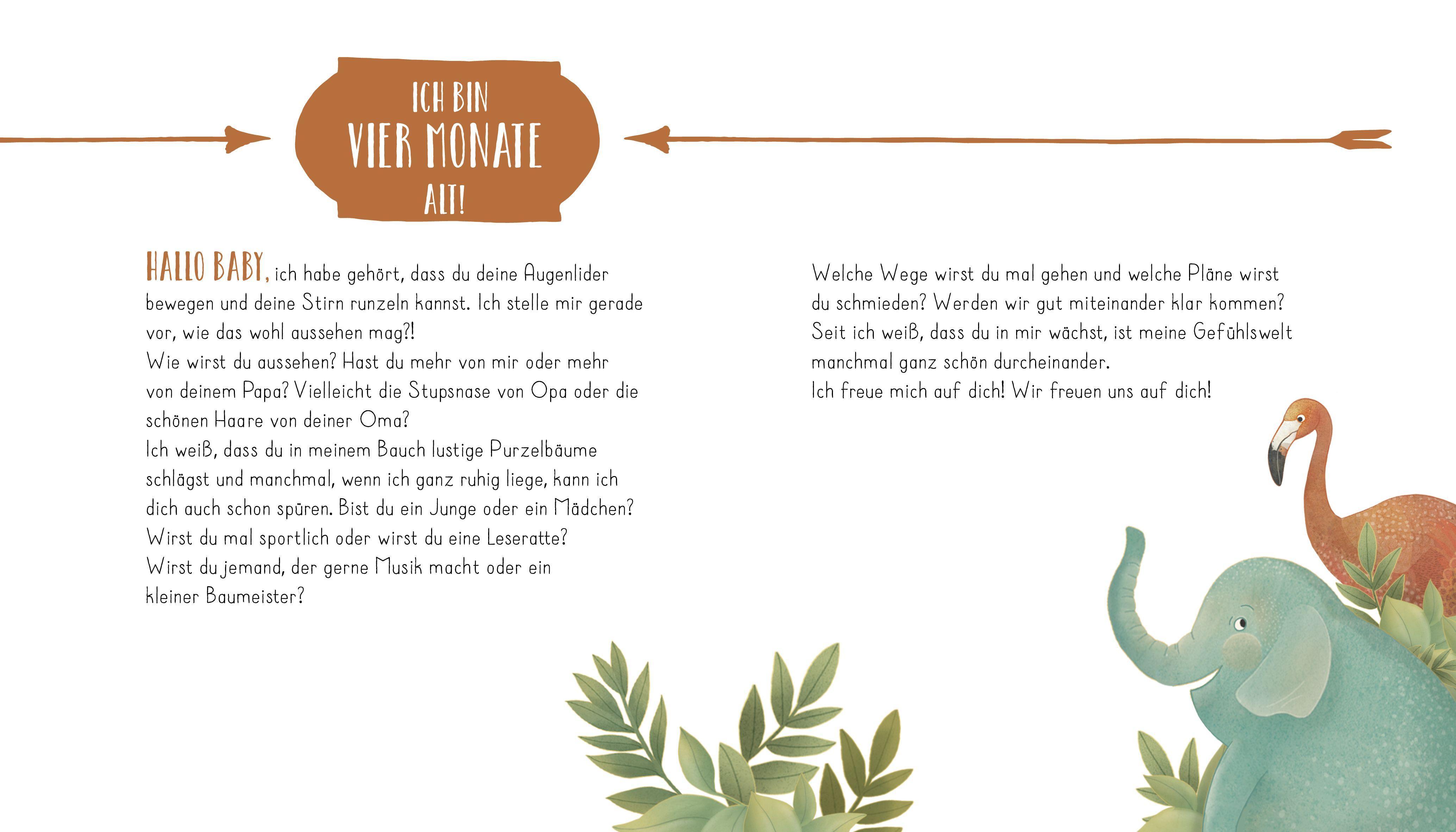 Beispielinhalt (Bild) Mein Babyalbum