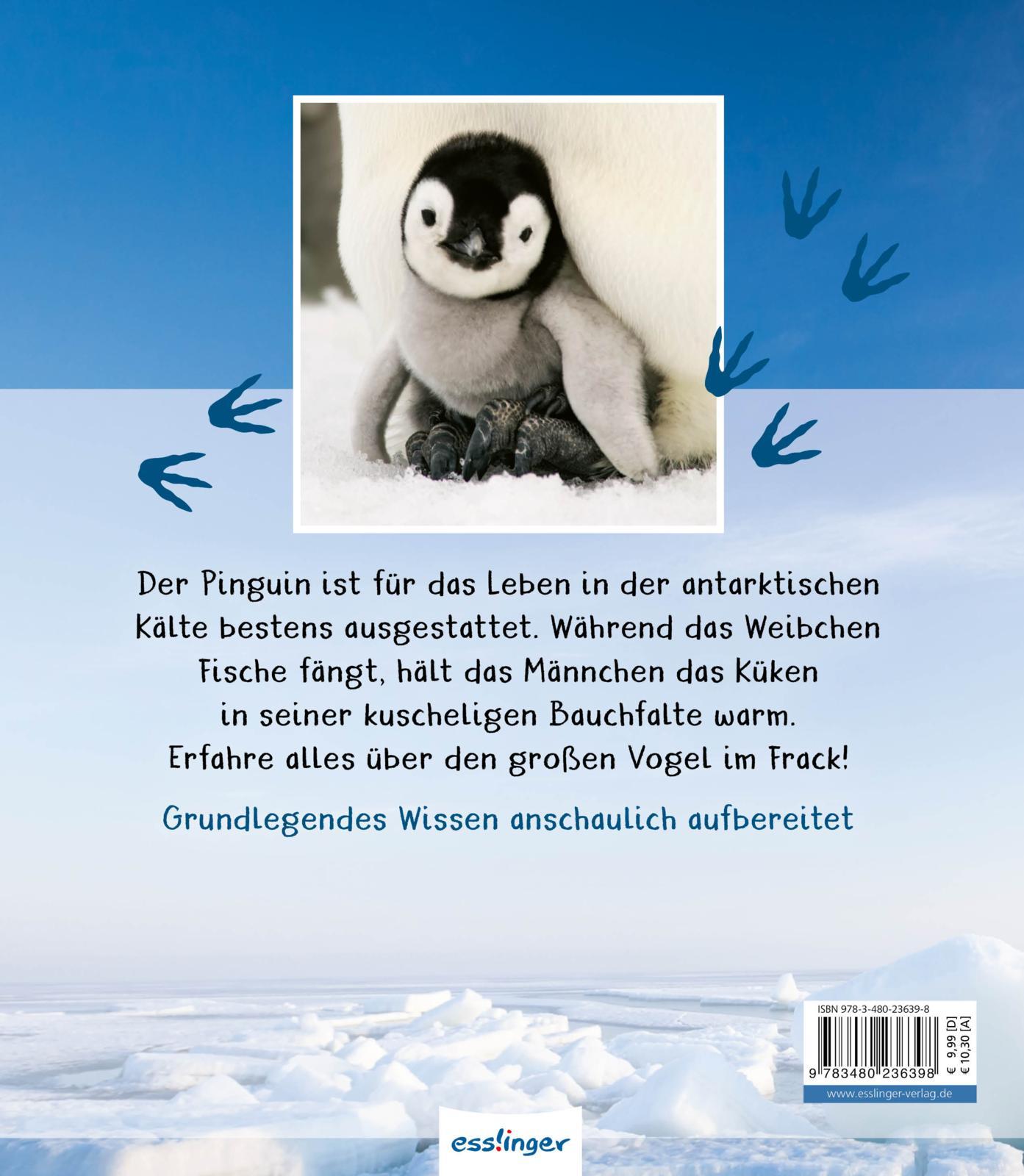 Rückseitencover Meine große Tierbibliothek: Der Pinguin