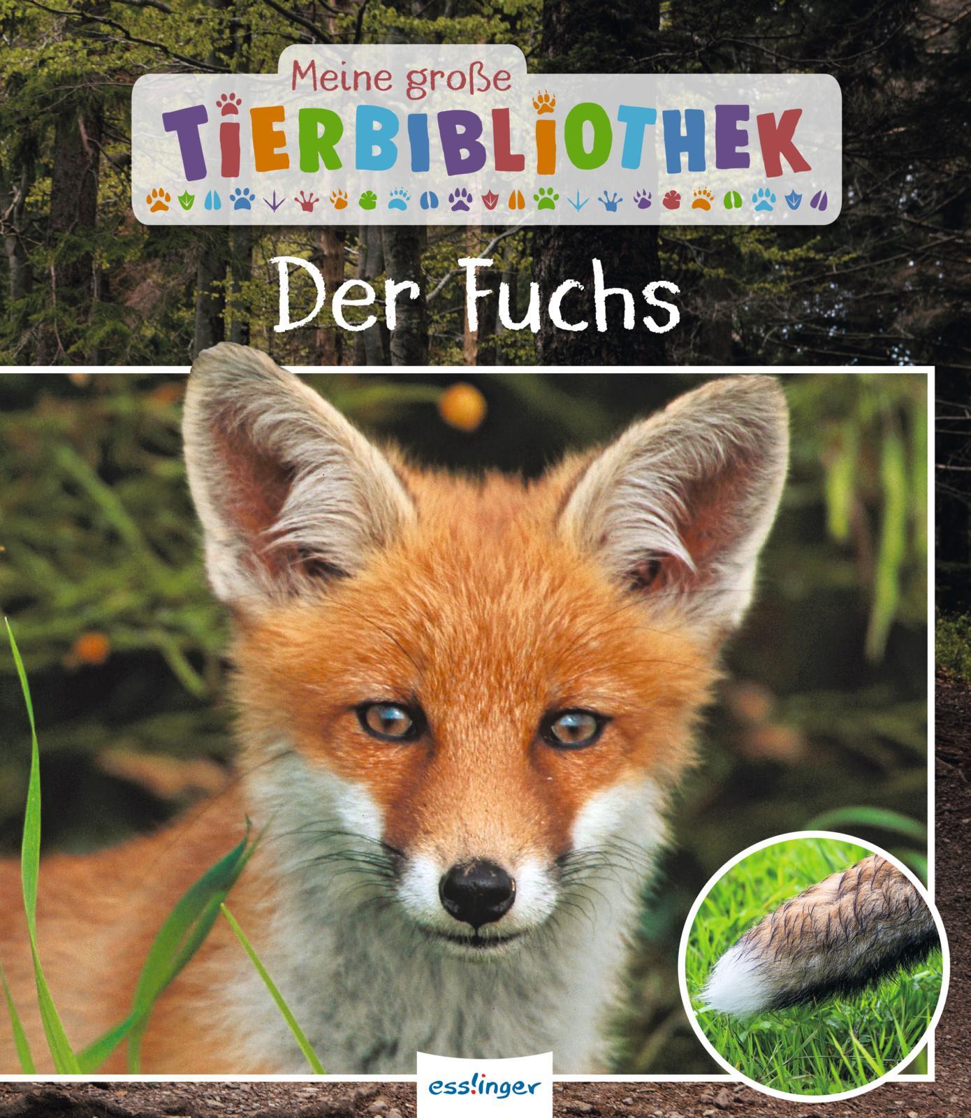 Vorderes Coverbild Meine große Tierbibliothek: Der Fuchs