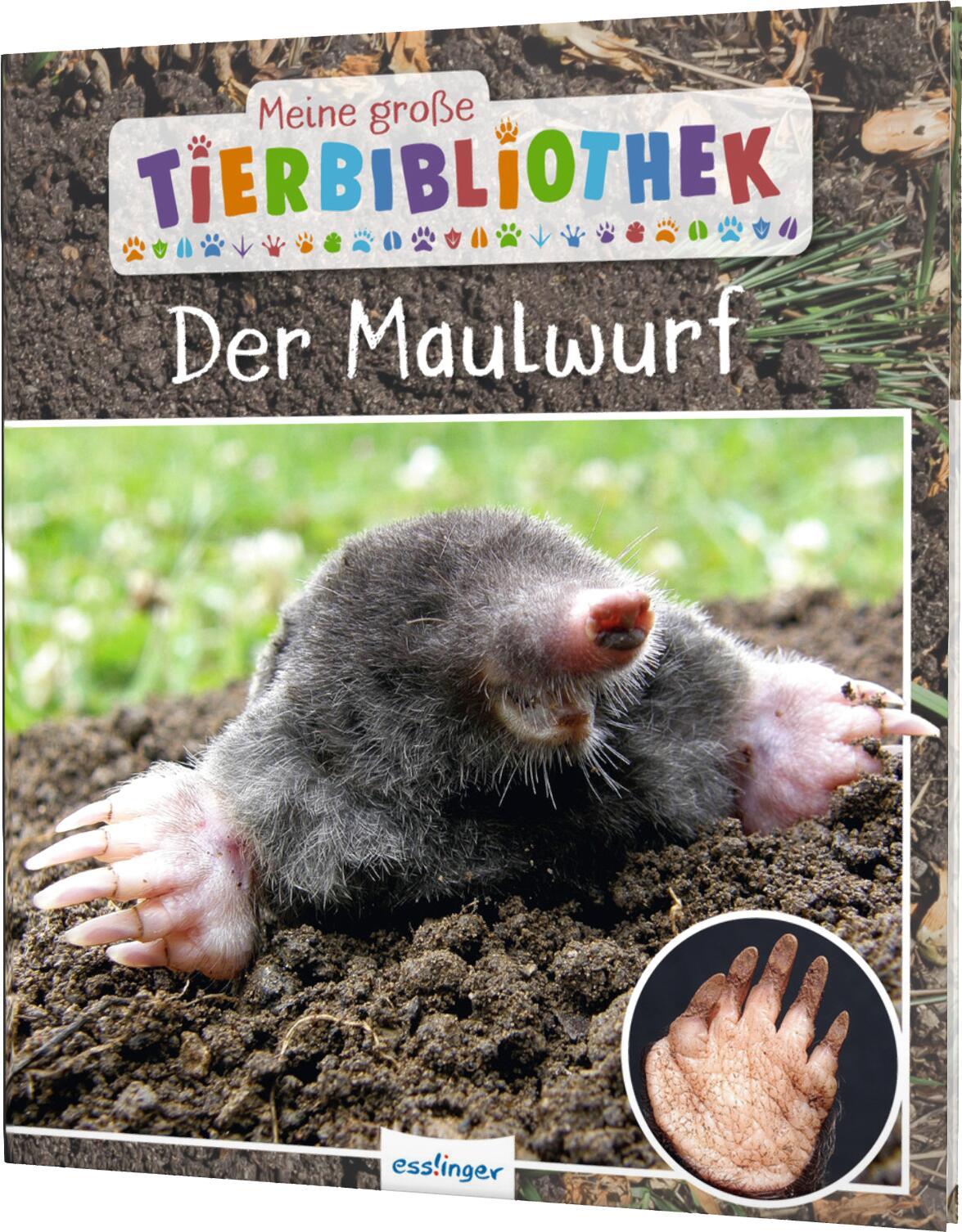 Vorderes Coverbild Meine große Tierbibliothek: Der Maulwurf