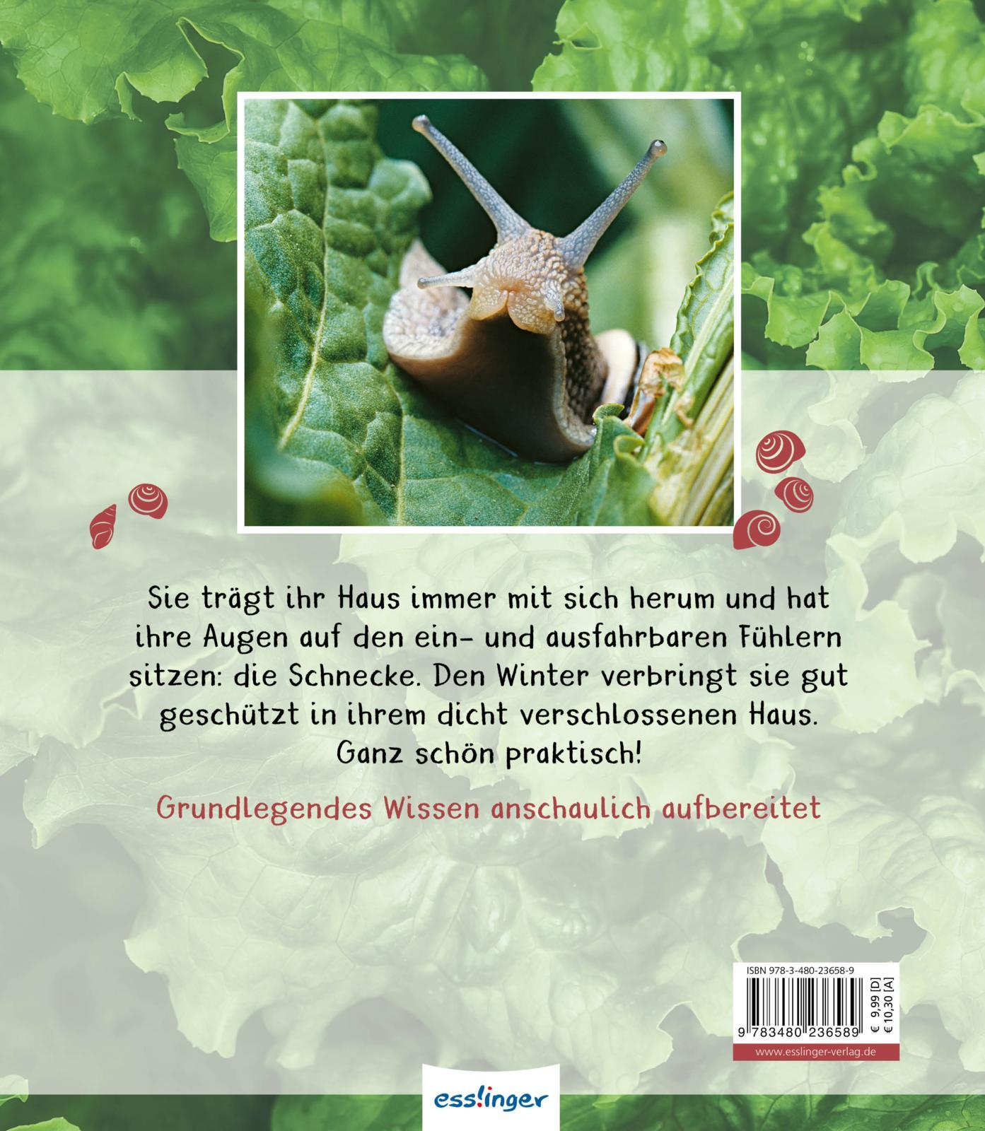 Rückseitencover Meine große Tierbibliothek: Die Schnecke