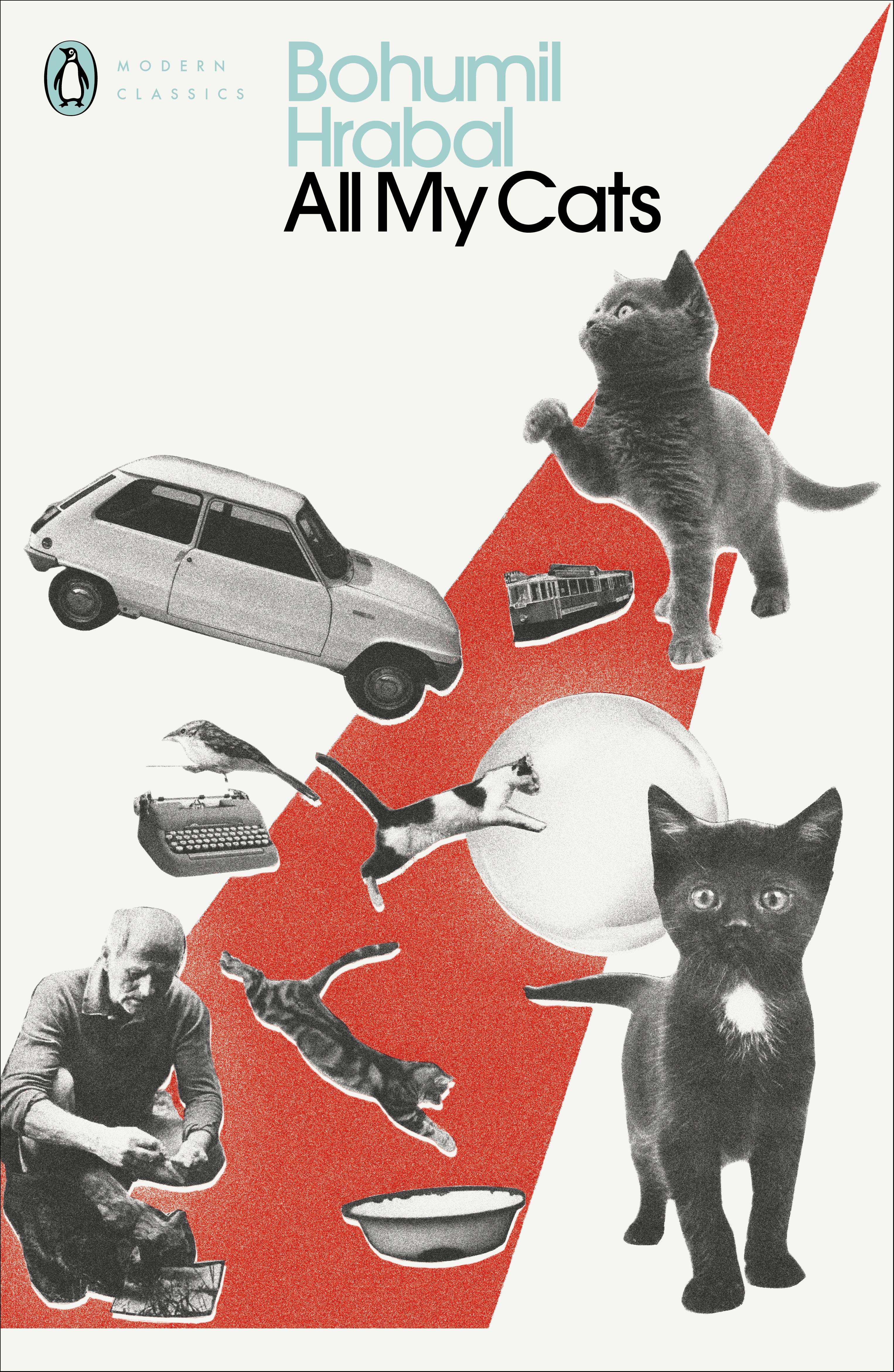 Vorderes Coverbild All My Cats