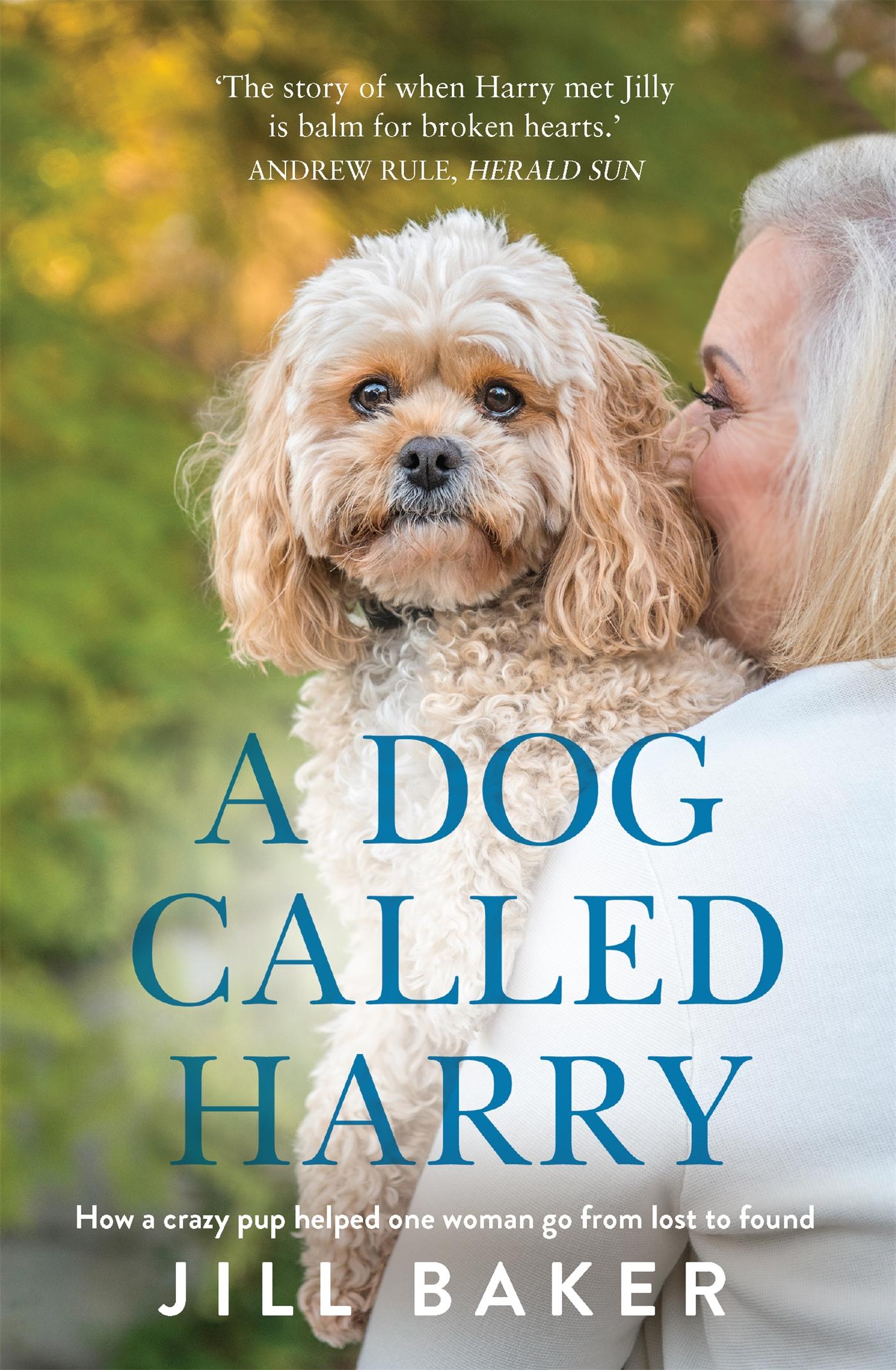 Vorderes Coverbild A Dog Called Harry