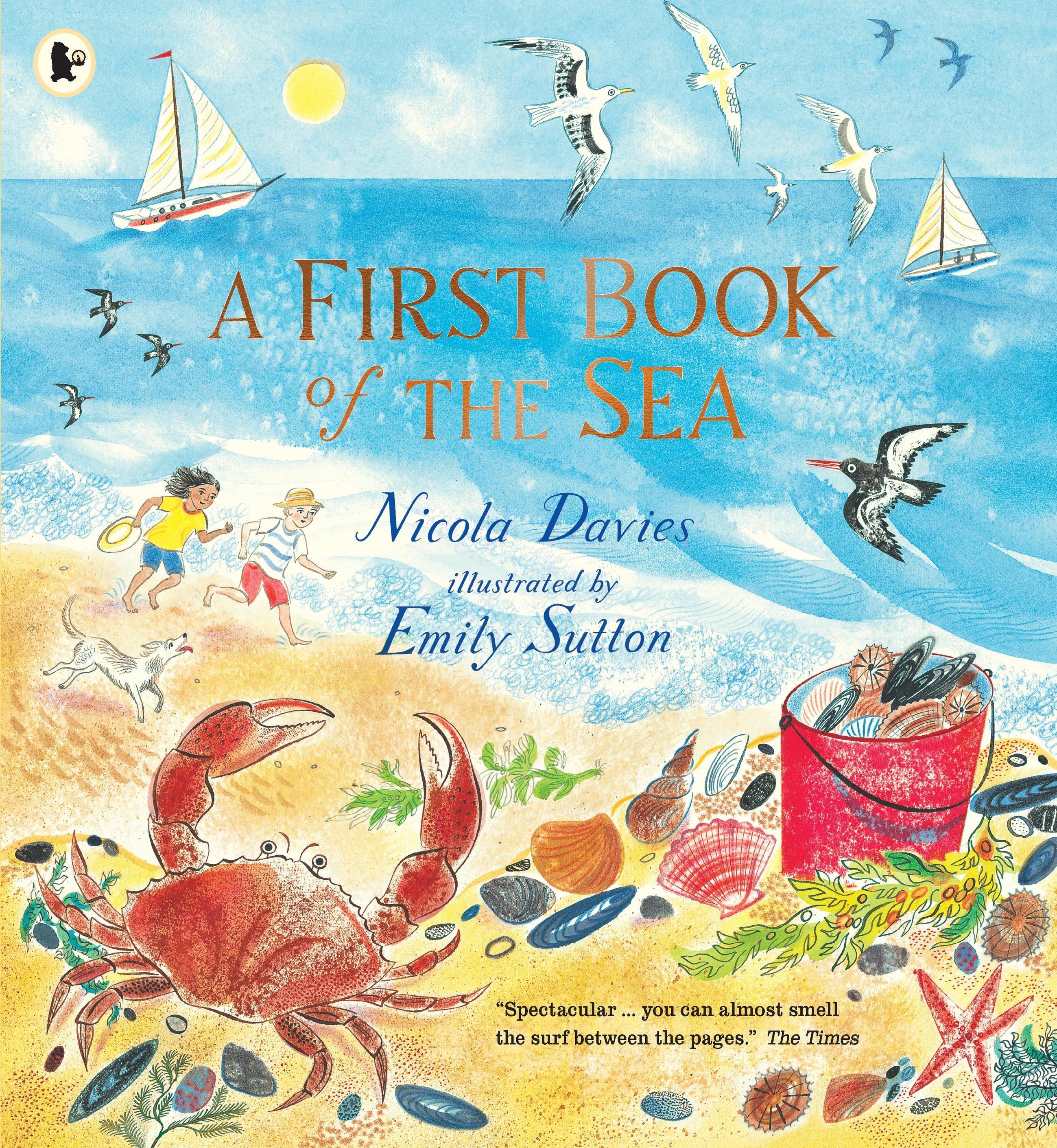 Vorderes Coverbild A First Book of the Sea