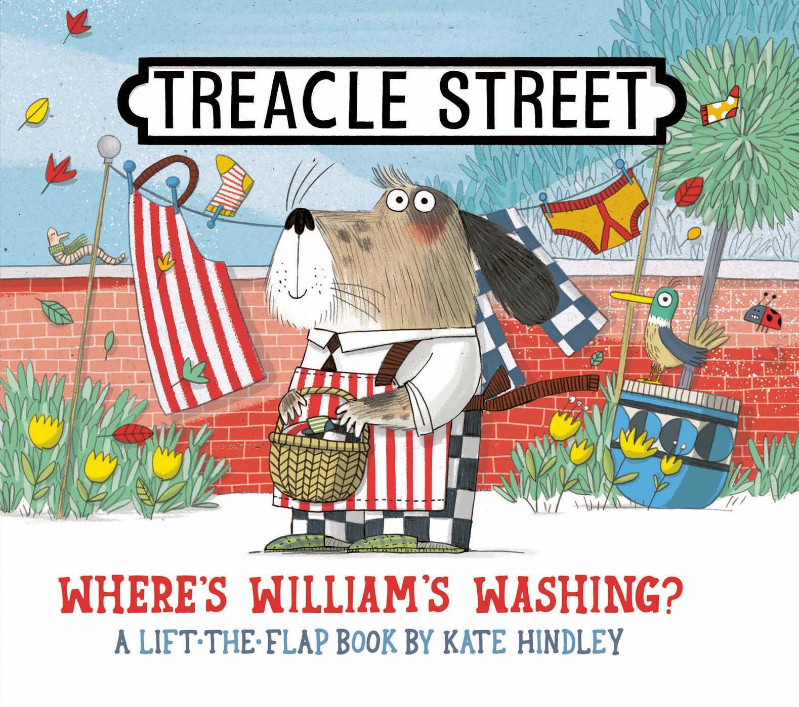 Vorderes Coverbild Where's William's Washing?