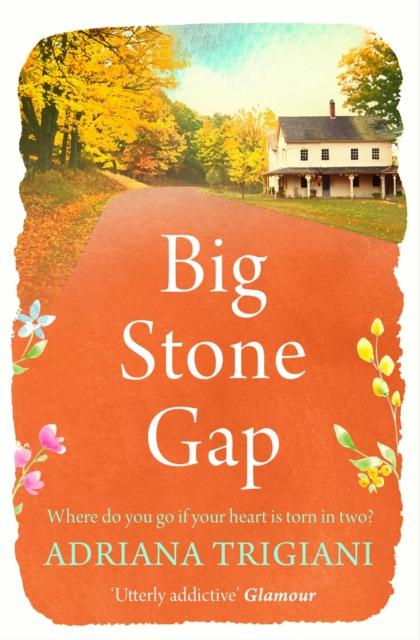 Vorderes Coverbild Big Stone Gap