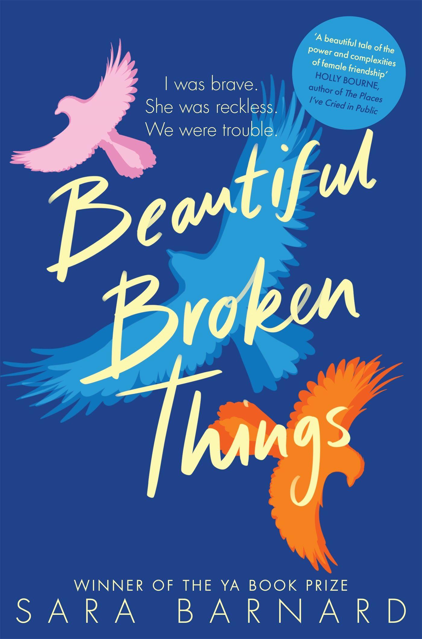 Vorderes Coverbild Beautiful Broken Things