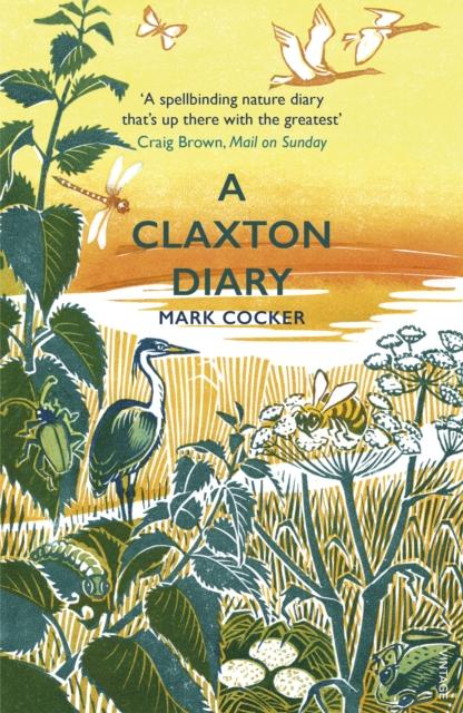 Vorderes Coverbild A Claxton Diary
