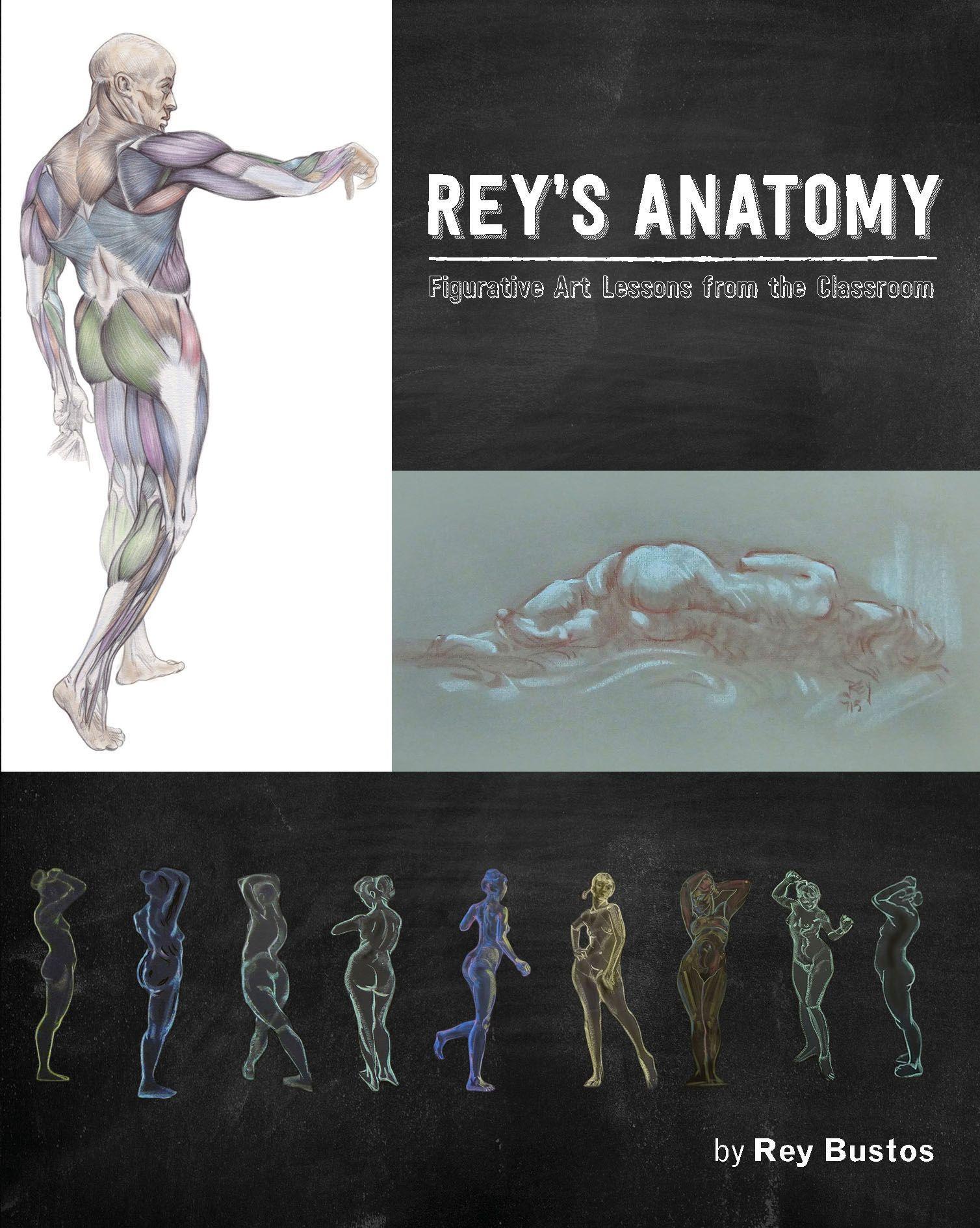 Vorderes Coverbild Rey's Anatomy