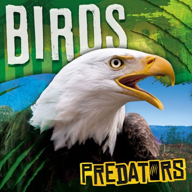 Vorderes Coverbild Birds