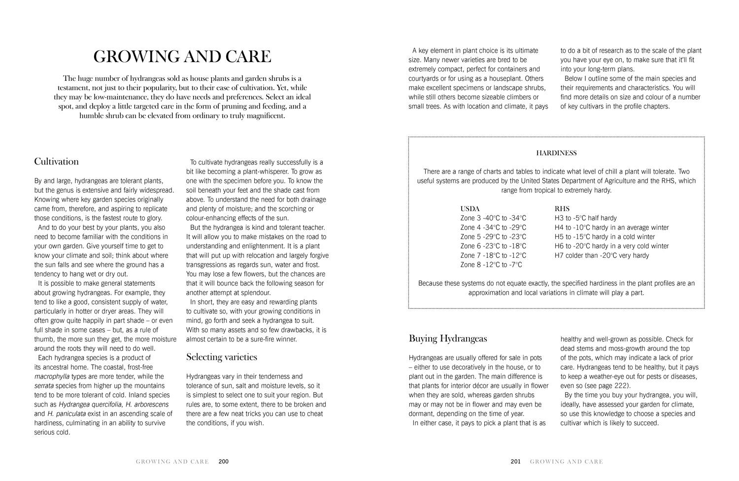 Beispielinhalt (Bild) Hydrangeas