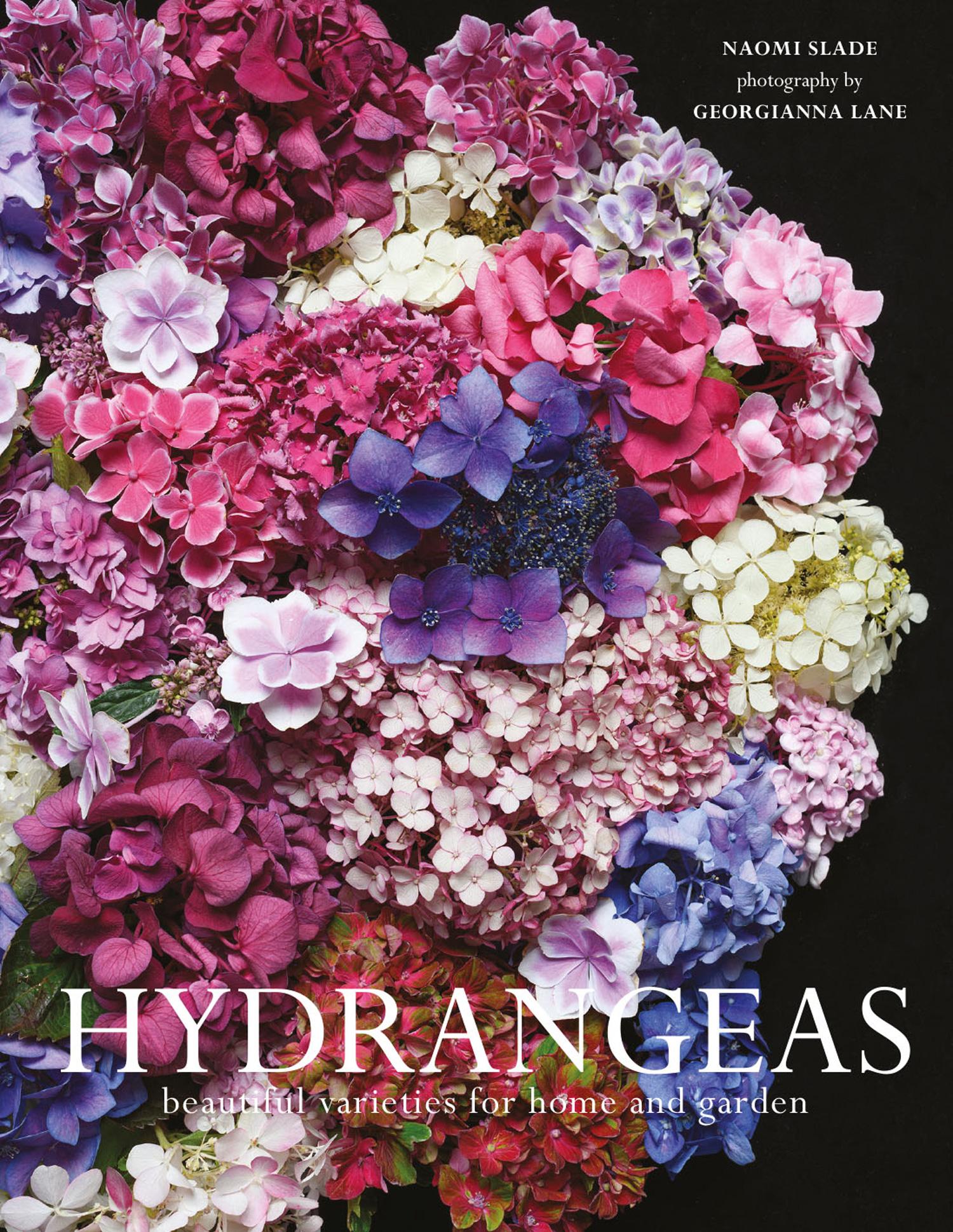 Vorderes Coverbild Hydrangeas