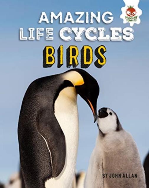 Vorderes Coverbild Amazing Life Cycles-Birds