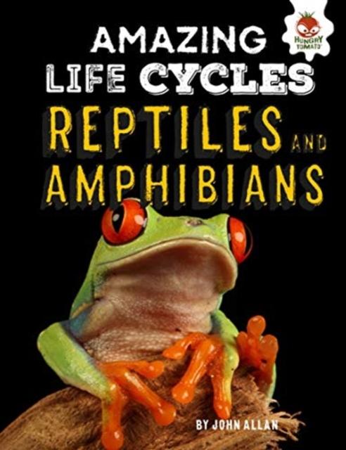 Vorderes Coverbild Reptiles and Amphibians - Amazing Life Cycles